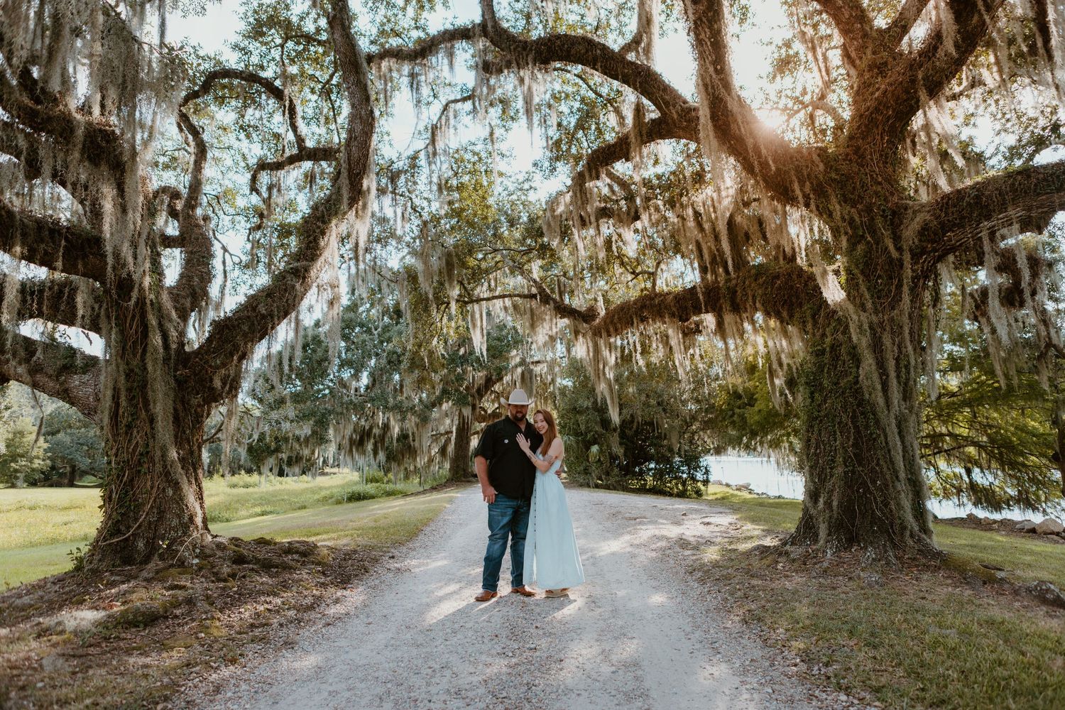 A dirt path lined with ancient oak trees draped in Spanish moss creates a dreamy southern landscape.