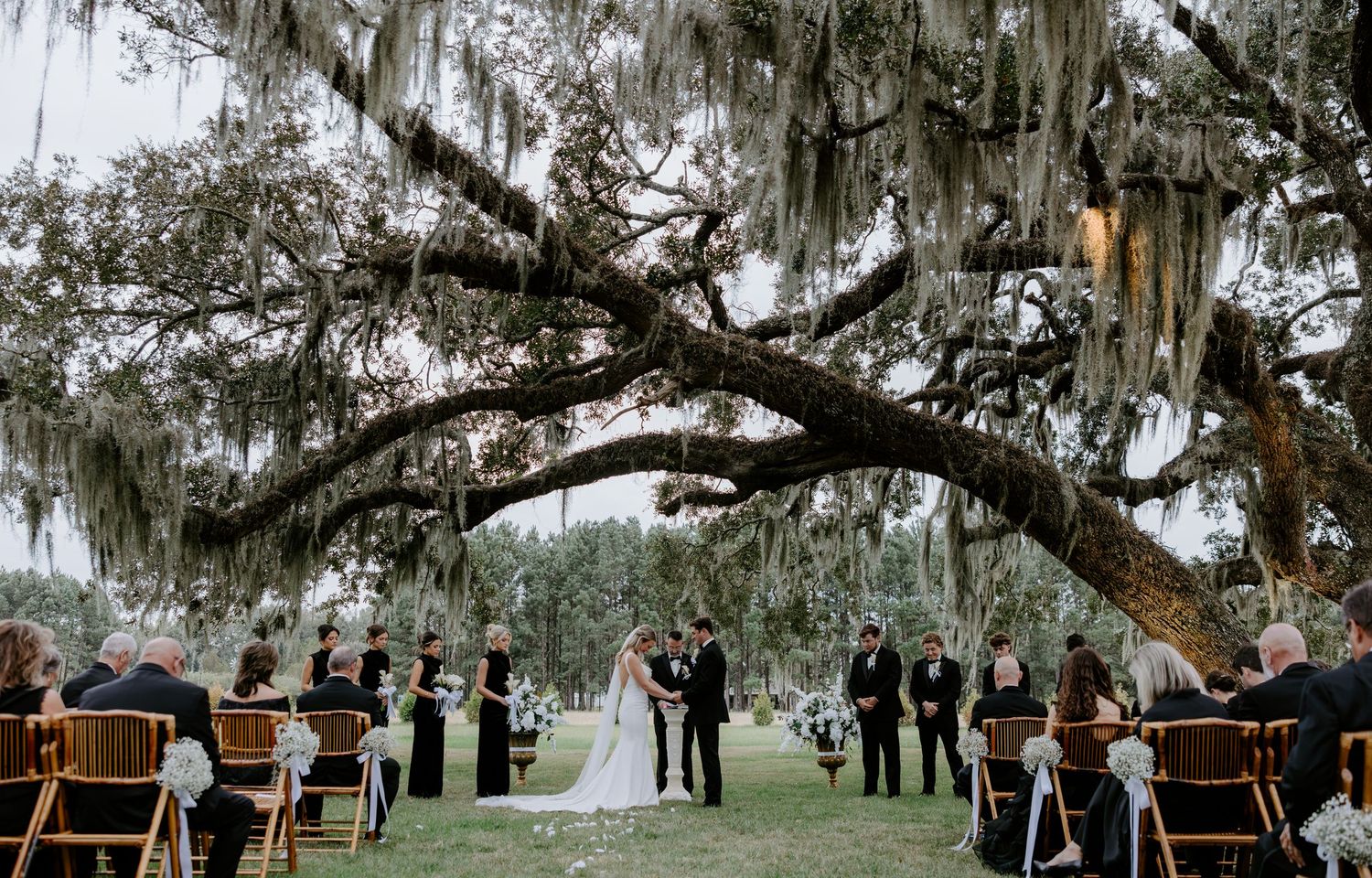 Bride and groom exchange vows during an outdoor wedding ceremony beneath a large oak tree draped in Spanish moss, with guests seated nearby.
