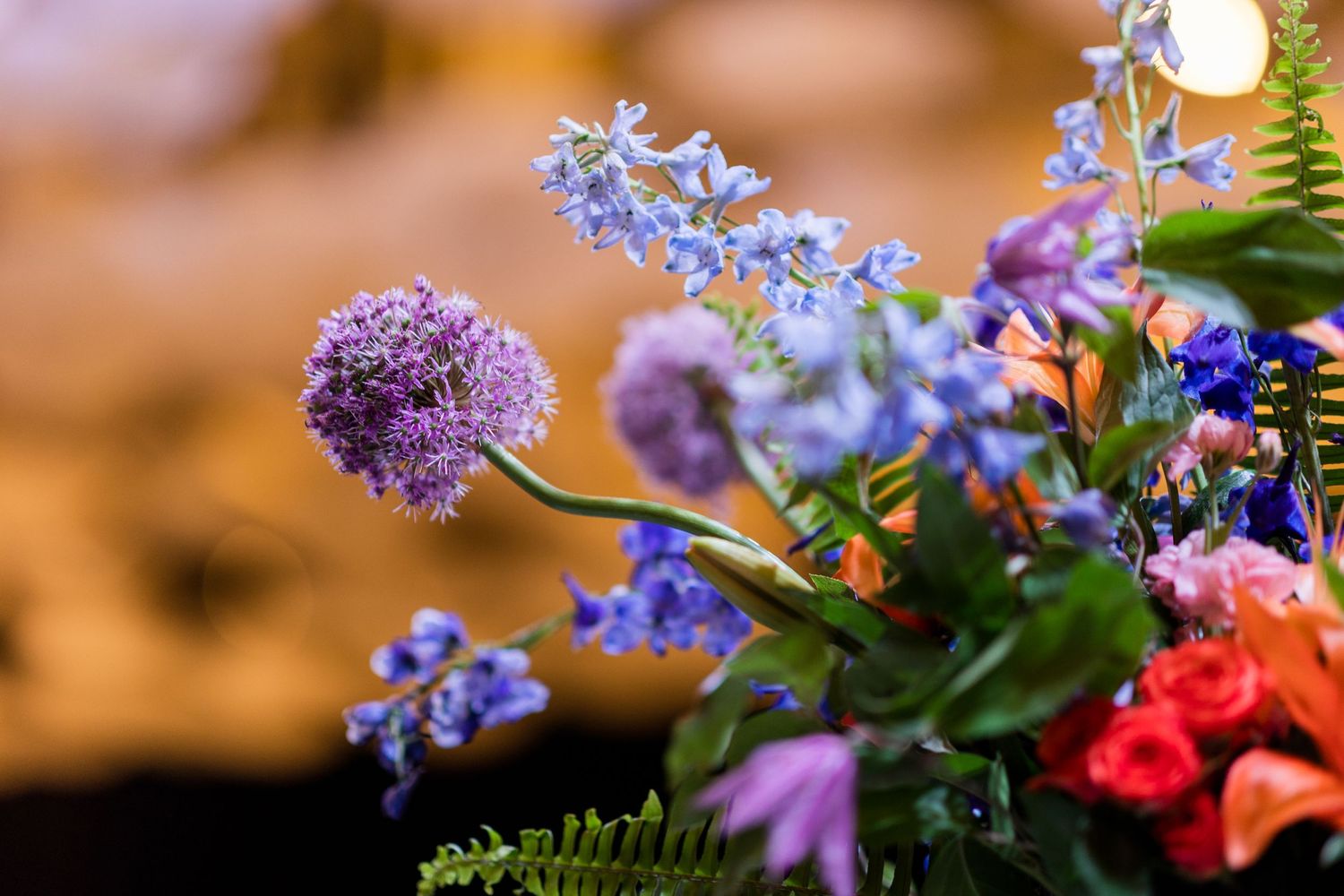 Vibrant purple allium and blue flowers bloom alongside red blossoms with green fern fronds in a garden arrangement.