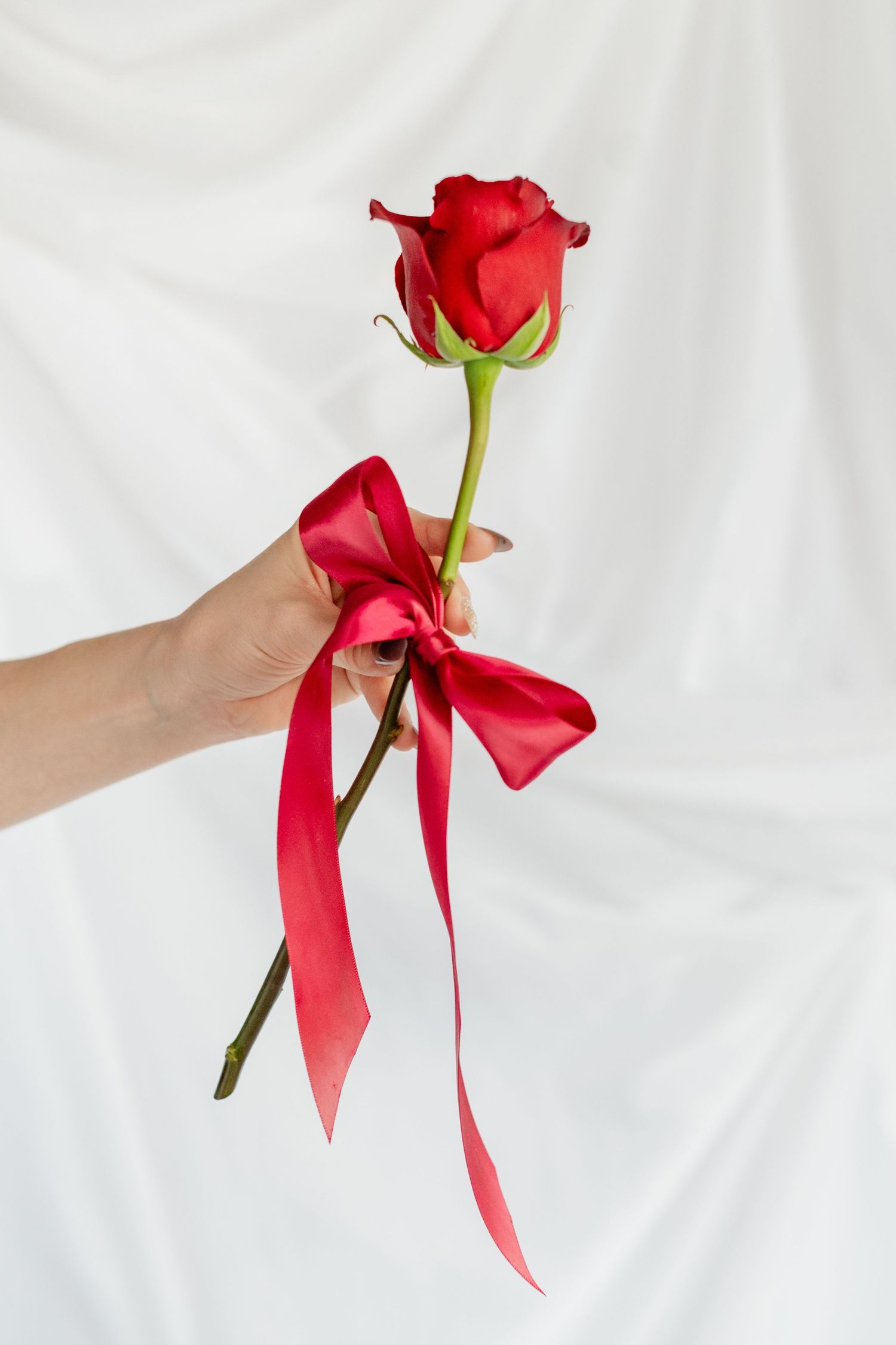 A single red rose with a matching red ribbon bow tied around its stem against a white background.