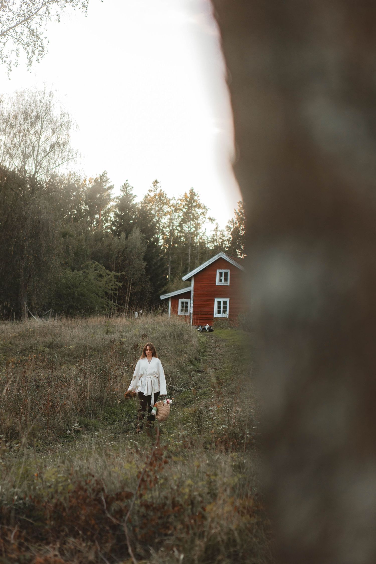 A red traditional Swedish cottage nestled among trees in a moody autumn landscape.