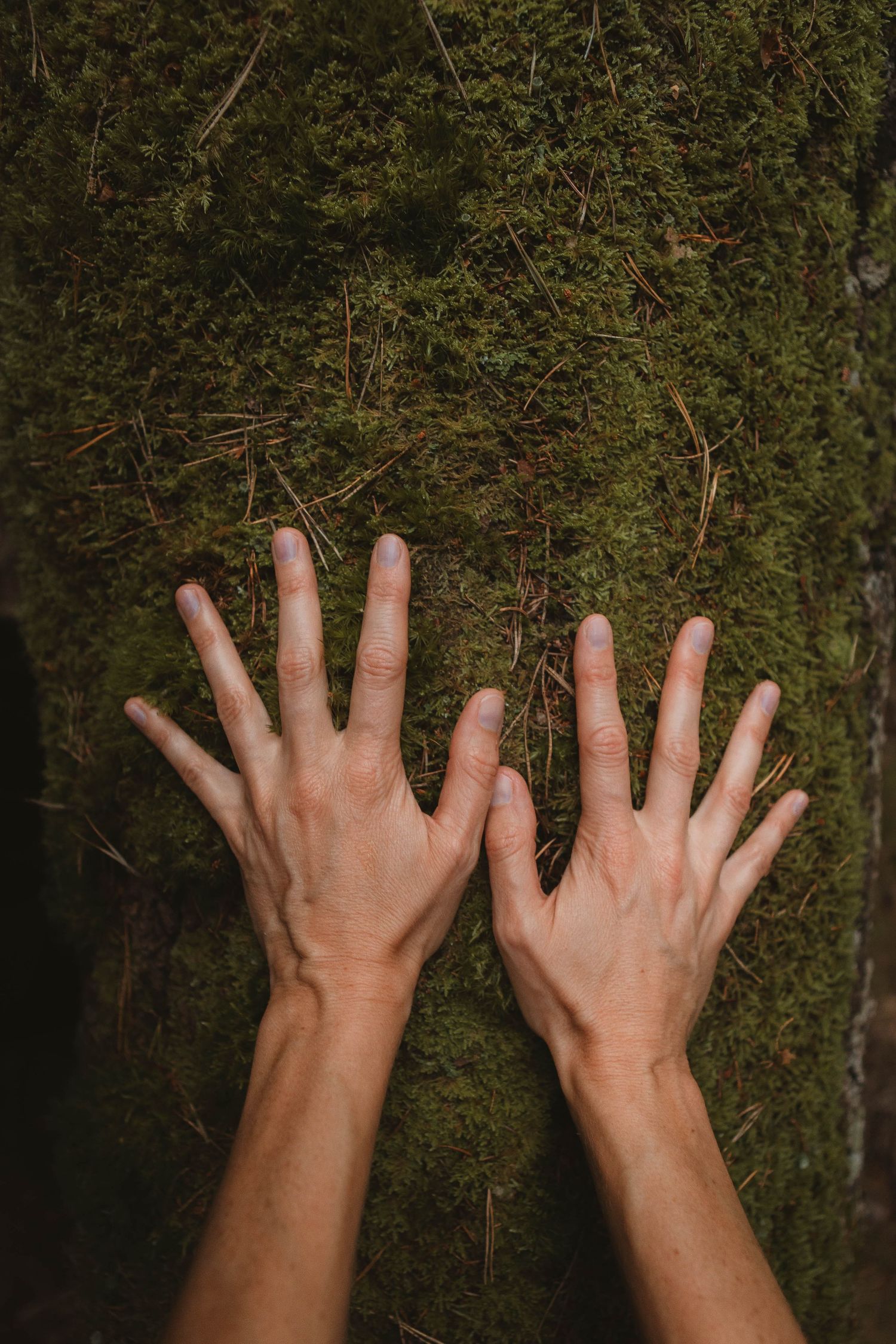 Two hands press against green moss-covered surface in natural lighting.