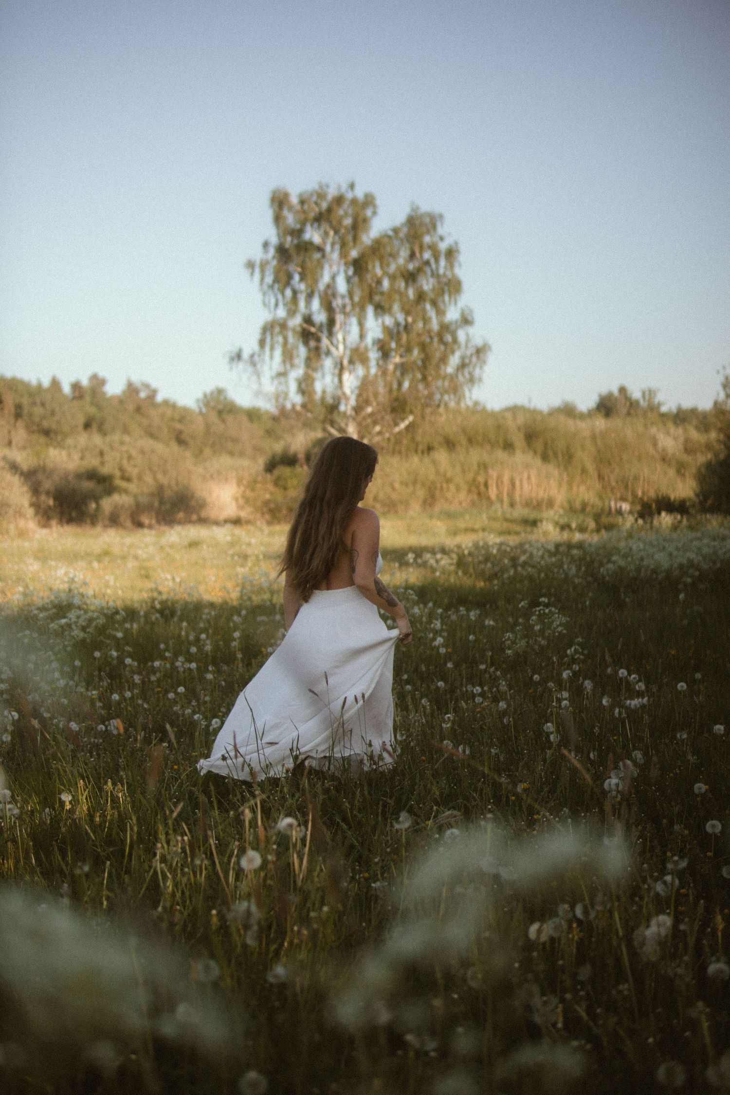 A woman in a flowing white dress stands in a dreamy wildflower meadow at golden hour with birch trees in the background.