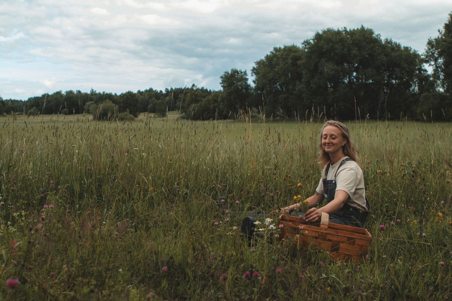 Person sitting with basket in tall grass meadow on sunny summer day.