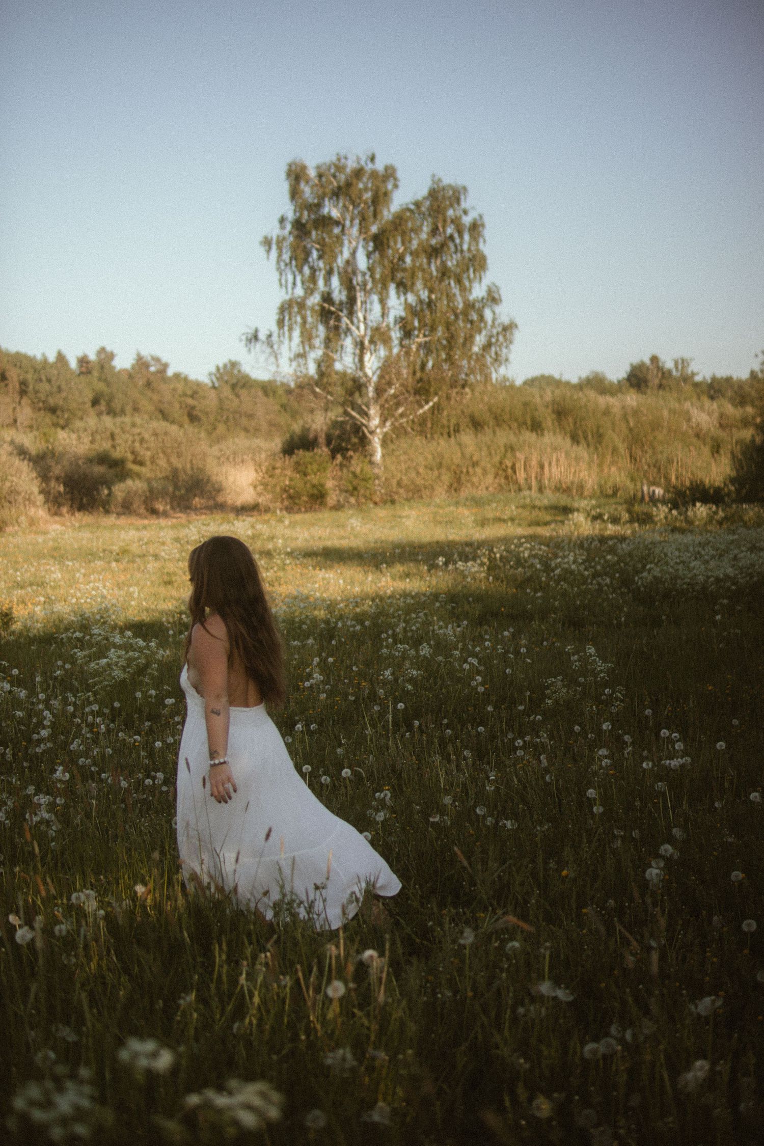 A person in a white dress walks through a wildflower meadow at sunset with a birch tree in the background.
