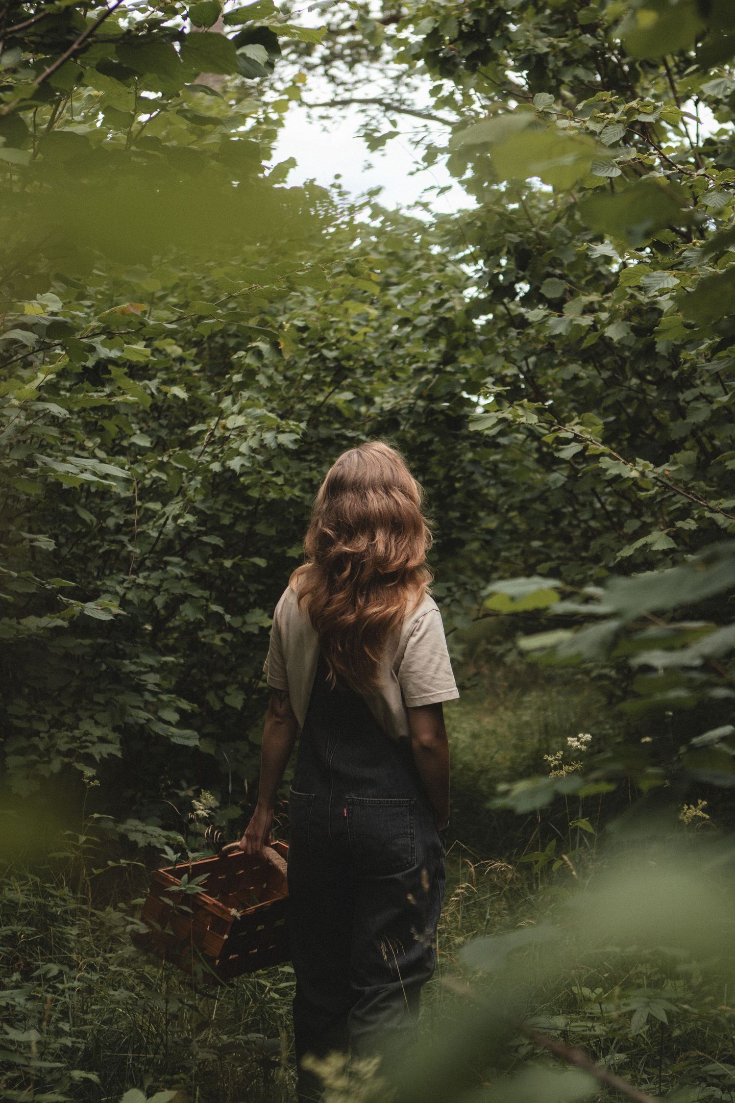 A forager walks through dense woodland carrying a wooden harvest crate.