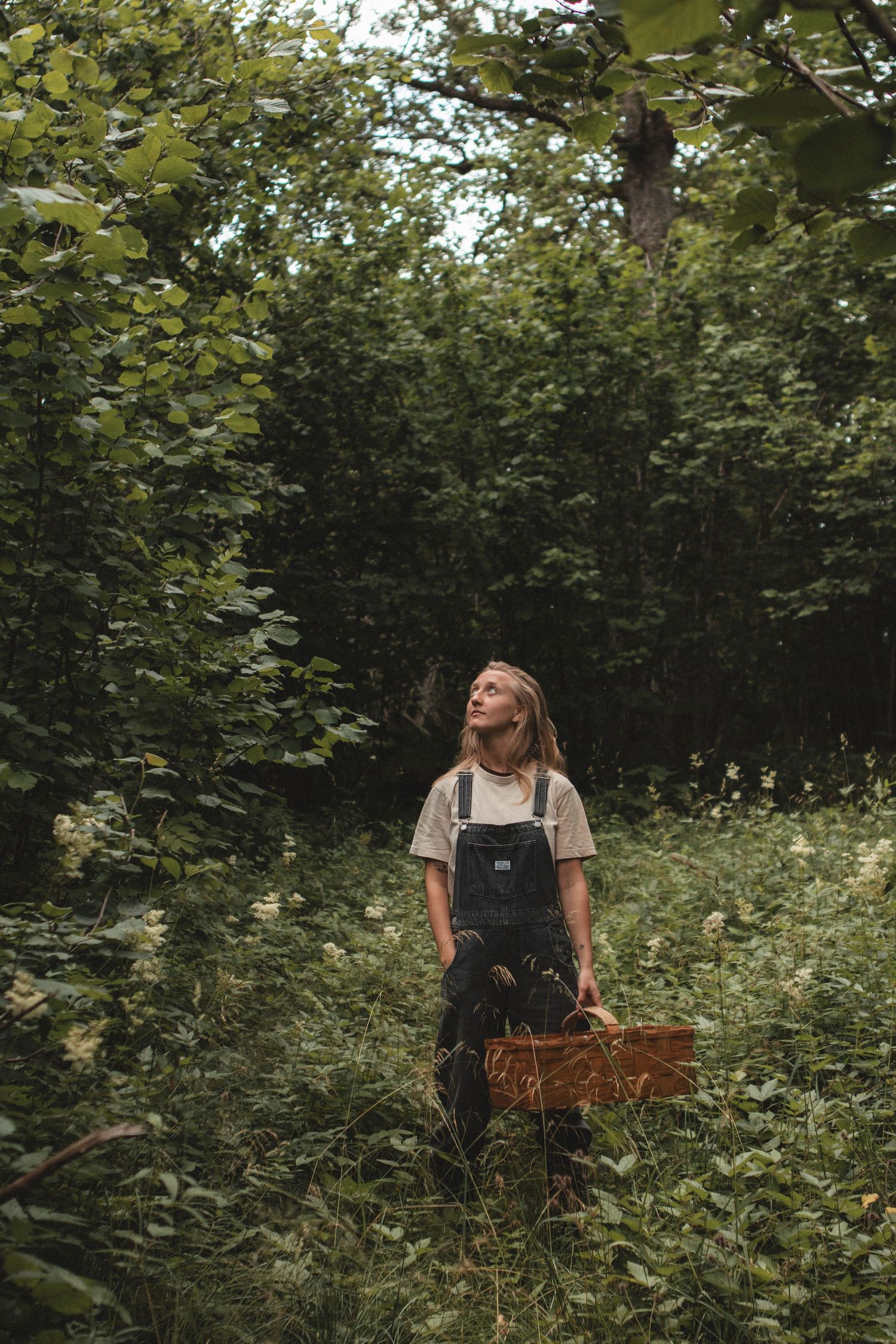 A forager in overalls stands holding a wooden crate surrounded by dense forest foliage.