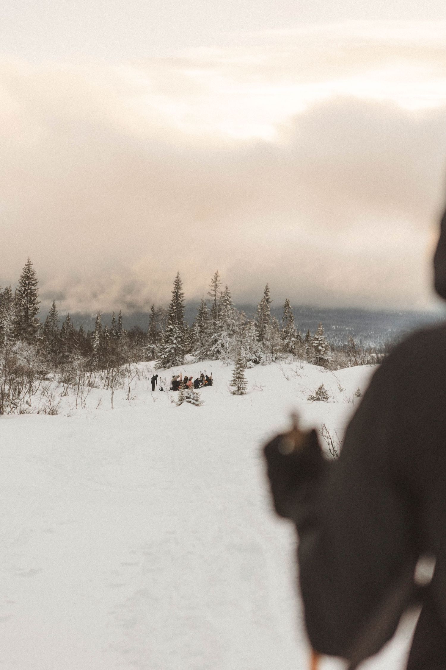 Snowy winter landscape with snow-covered evergreen trees and distant mountains under a misty overcast sky.