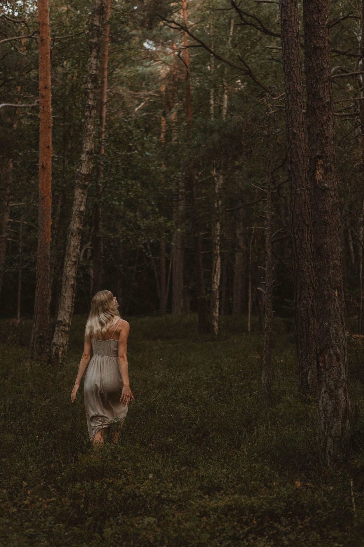 A figure in a light dress walks through a mystical pine forest in moody lighting.
