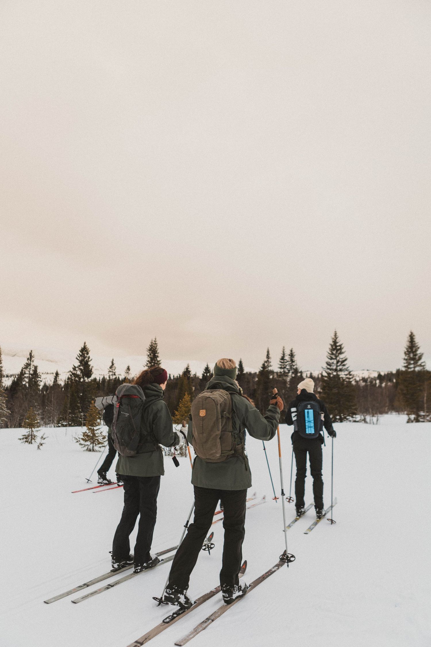 Three skiers traversing across a snowy winter landscape with evergreen trees in the background.
