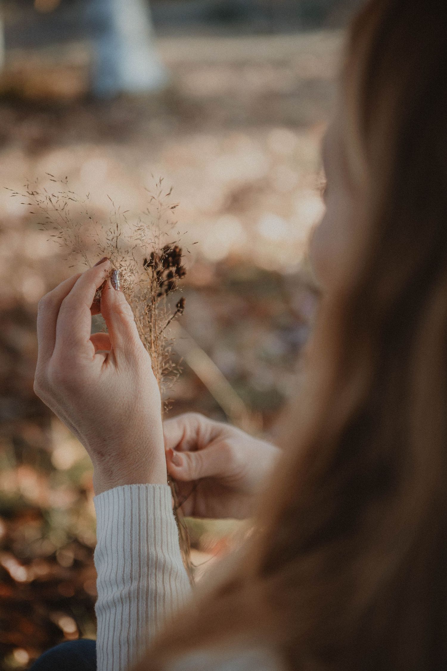 Delicate hands gently hold dried autumn flowers against a soft blurred nature background in warm muted tones.