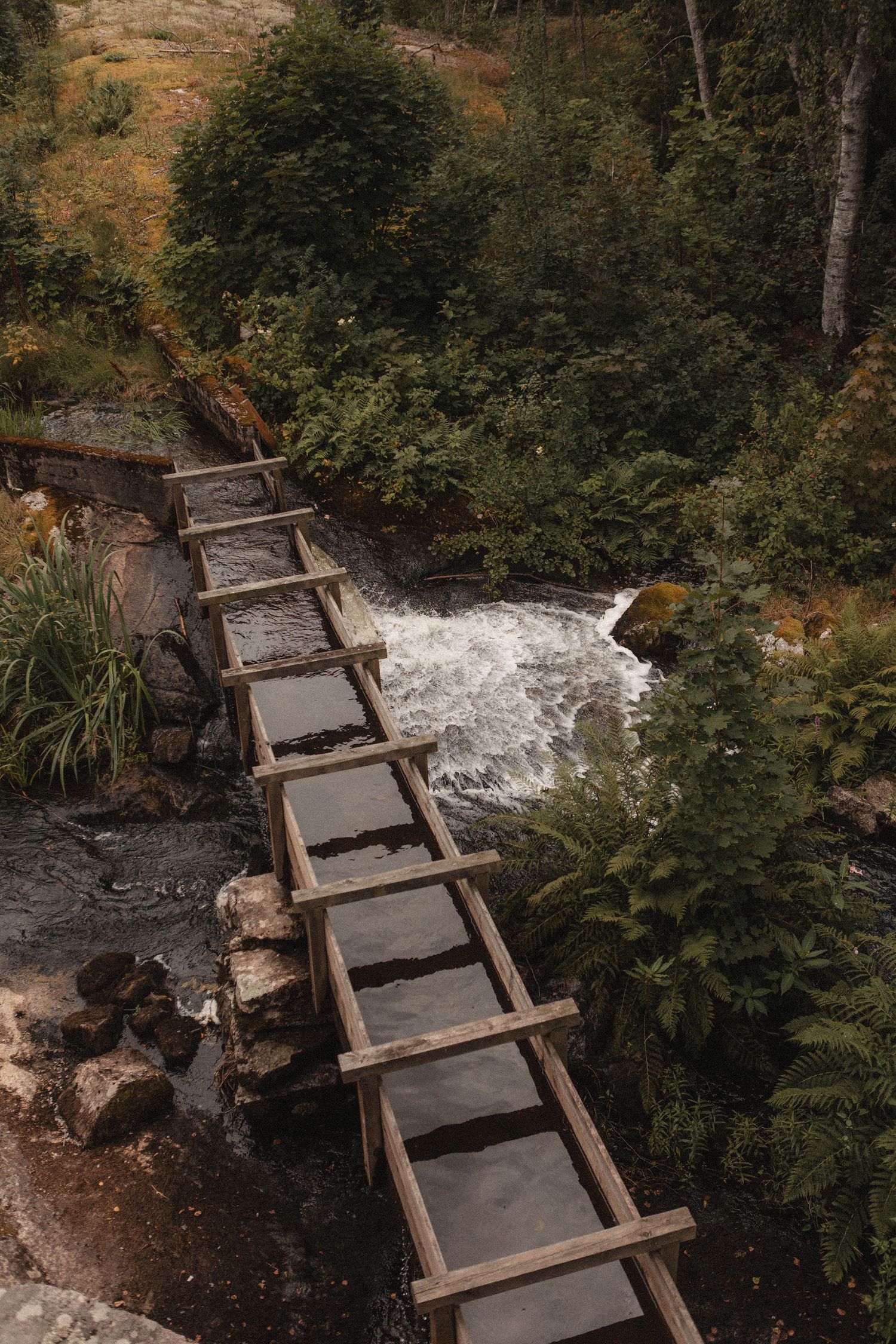 Wooden water chute construction directing stream flow through forest landscape.