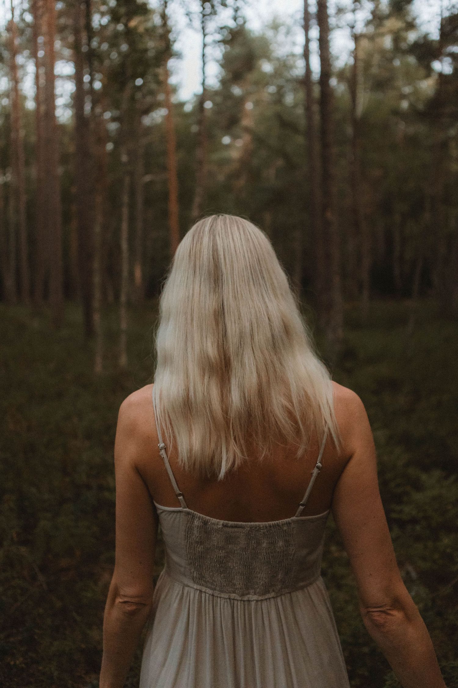 Back view of someone in grey dress standing among tall pine trees.