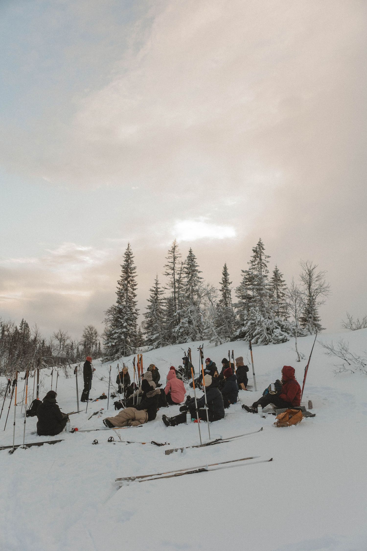 Group of winter adventurers taking a break on a snowy hillside beneath tall evergreen trees.