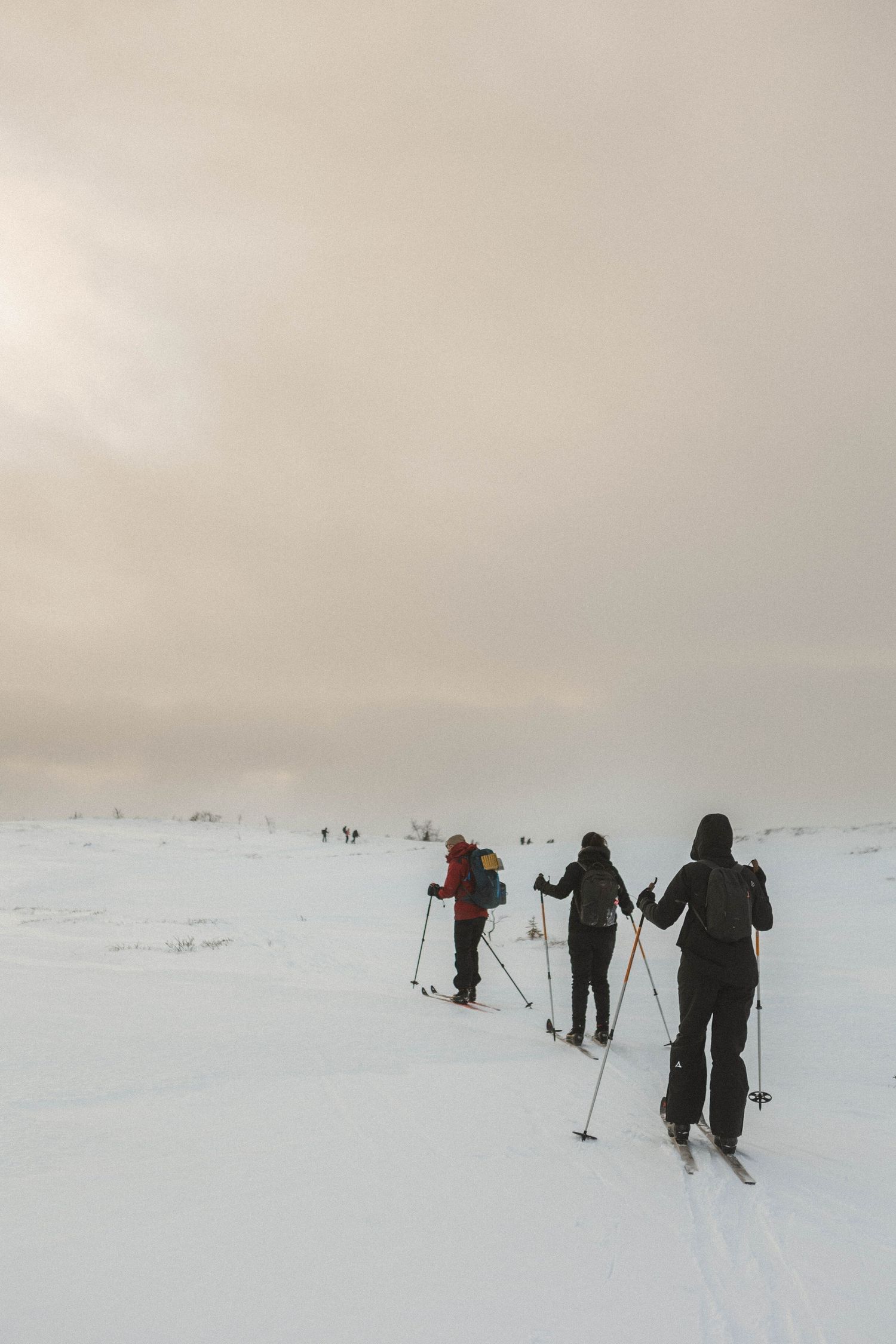 Cross-country skiers traversing across a snow-covered landscape on a cloudy winter day.