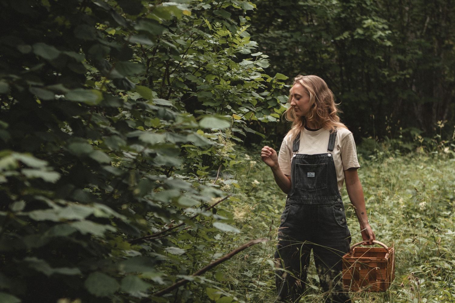 A person in denim overalls forages through green woodland carrying a vintage wooden crate.