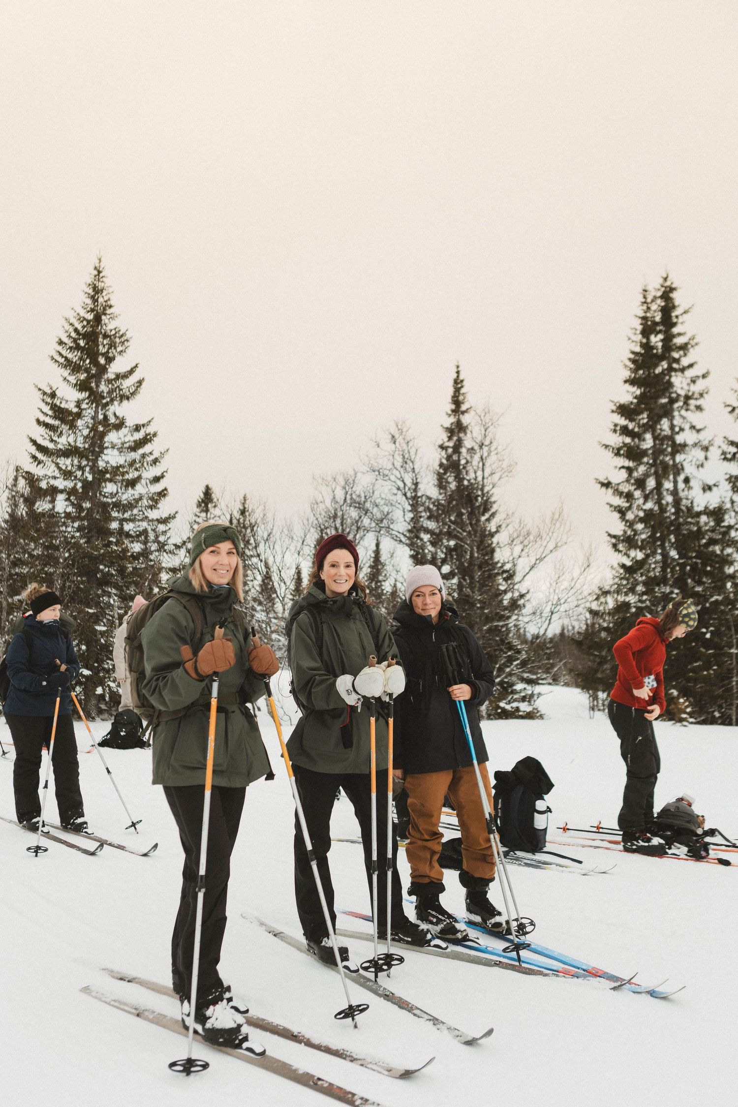 Group of cross-country skiers with poles standing in snowy winter forest landscape.