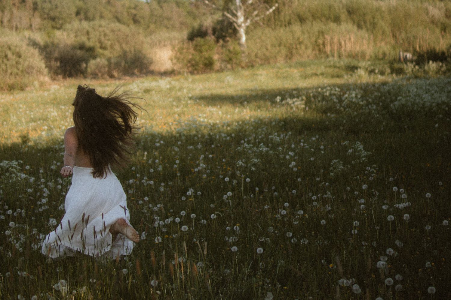 Someone in a white sweater sits alone in a meadow of delicate dandelion flowers at dusk.