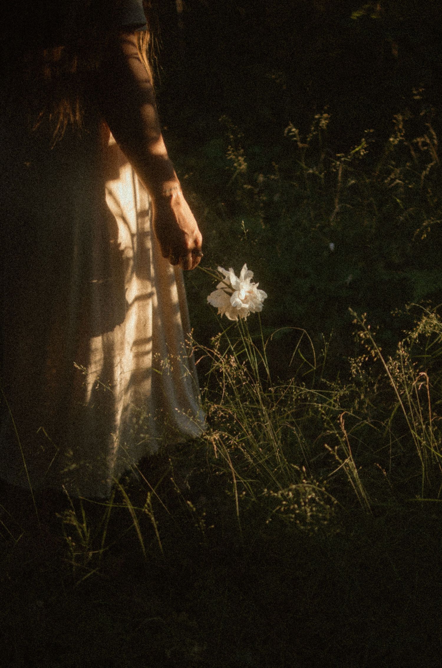 A woman in a light dress reaches toward a white wildflower in a sunlit garden with dramatic shadow patterns.
