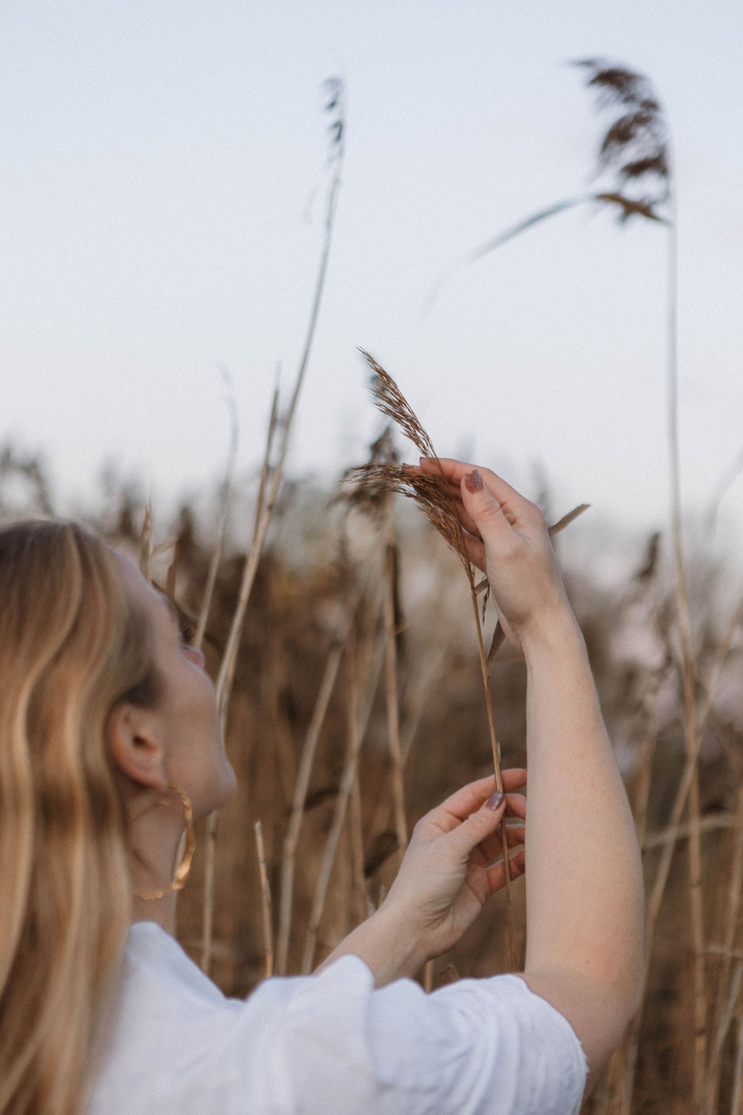 A person in a white shirt reaches up to touch tall reeds and grasses in a dreamy golden field at sunset.