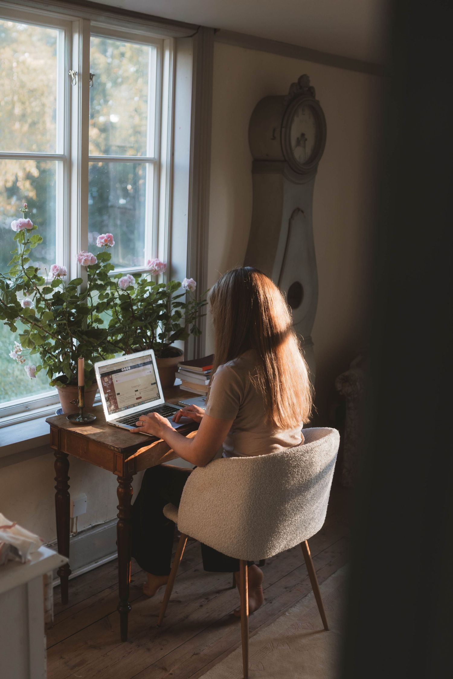 Person working on laptop while sitting in comfortable armchair by sunny window with houseplants.