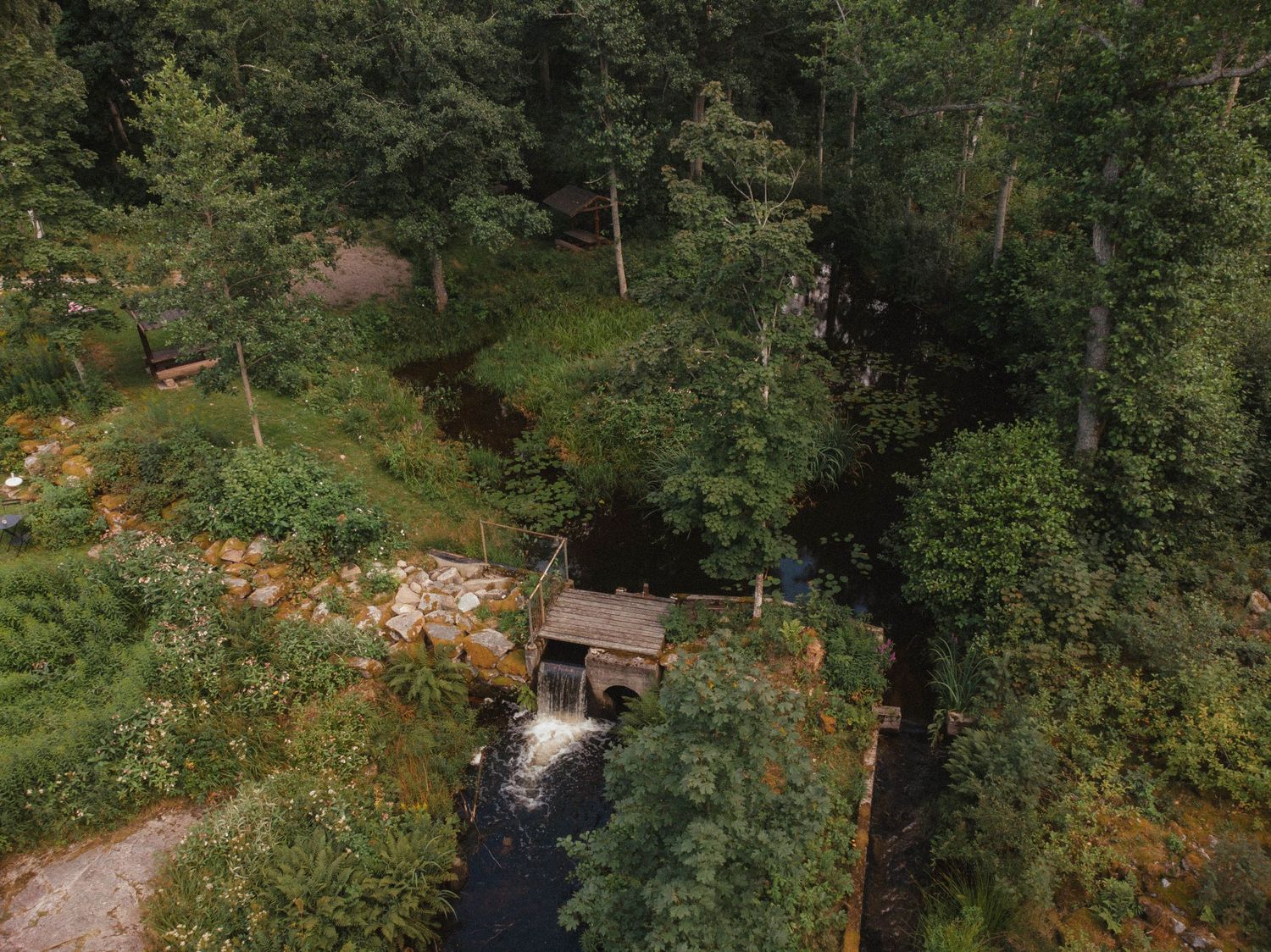 Drone shot of a wooden bridge crossing a stream in dense forest terrain.