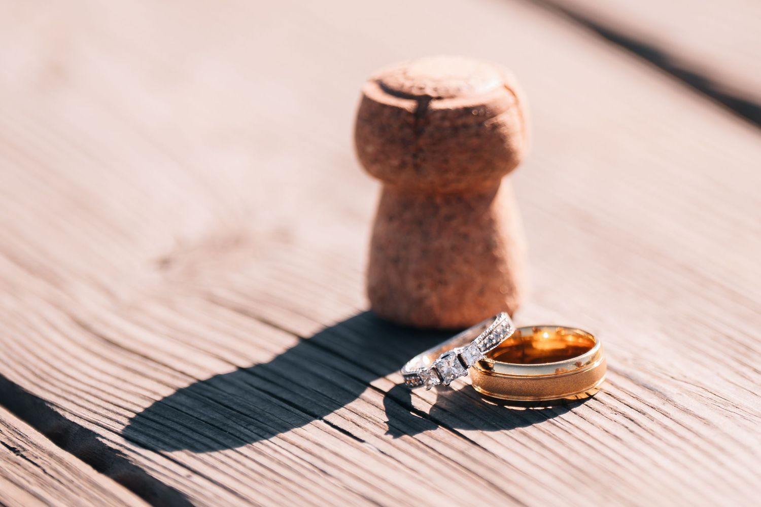 Annapolis Court Ceremony Docks Rings