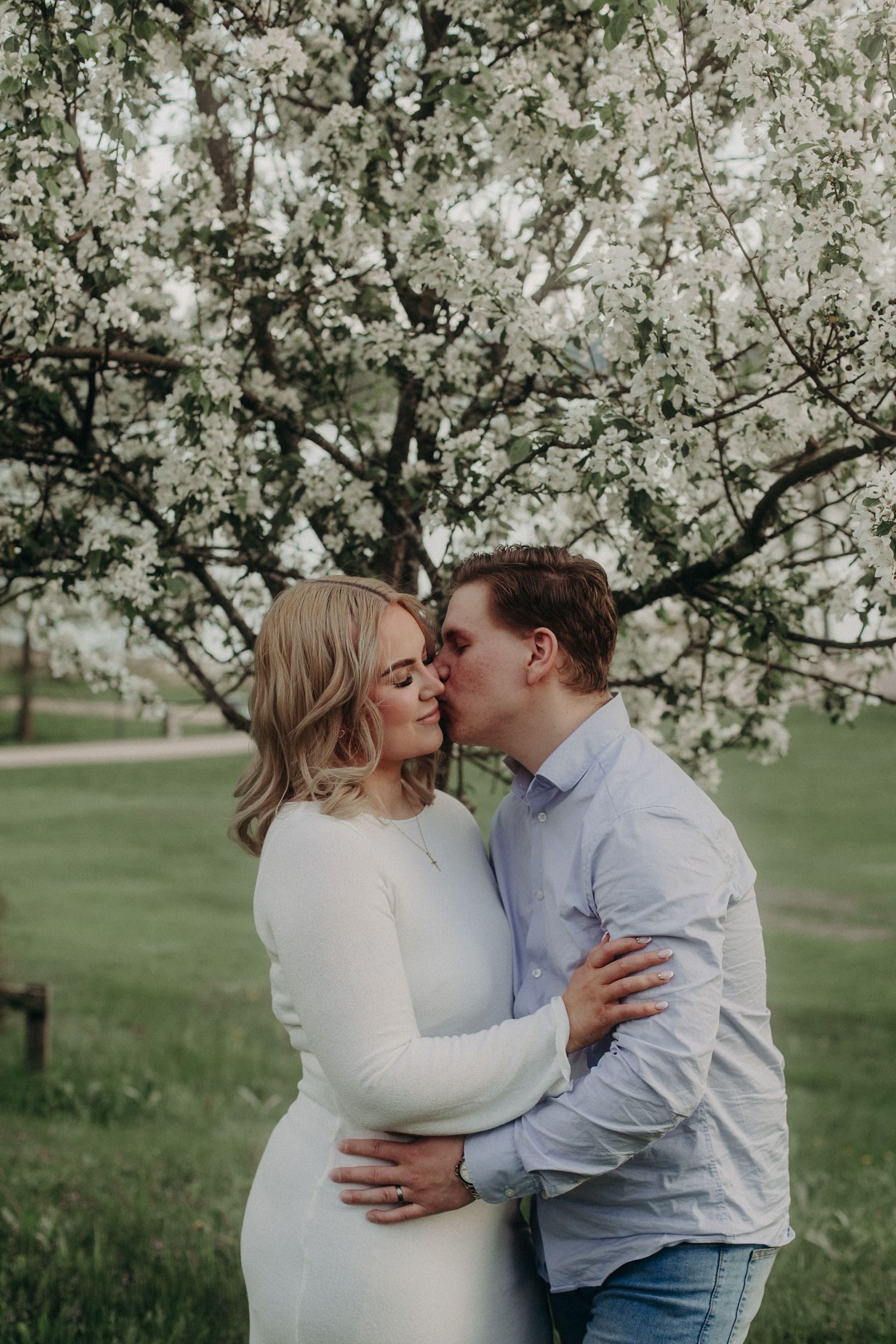 Couple sharing a romantic kiss under blooming white spring tree, woman in white dress embraced by man in blue shirt.