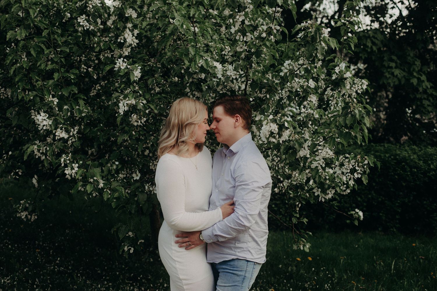 Couple embracing and sharing a romantic moment in front of blooming white flowering trees outdoors.