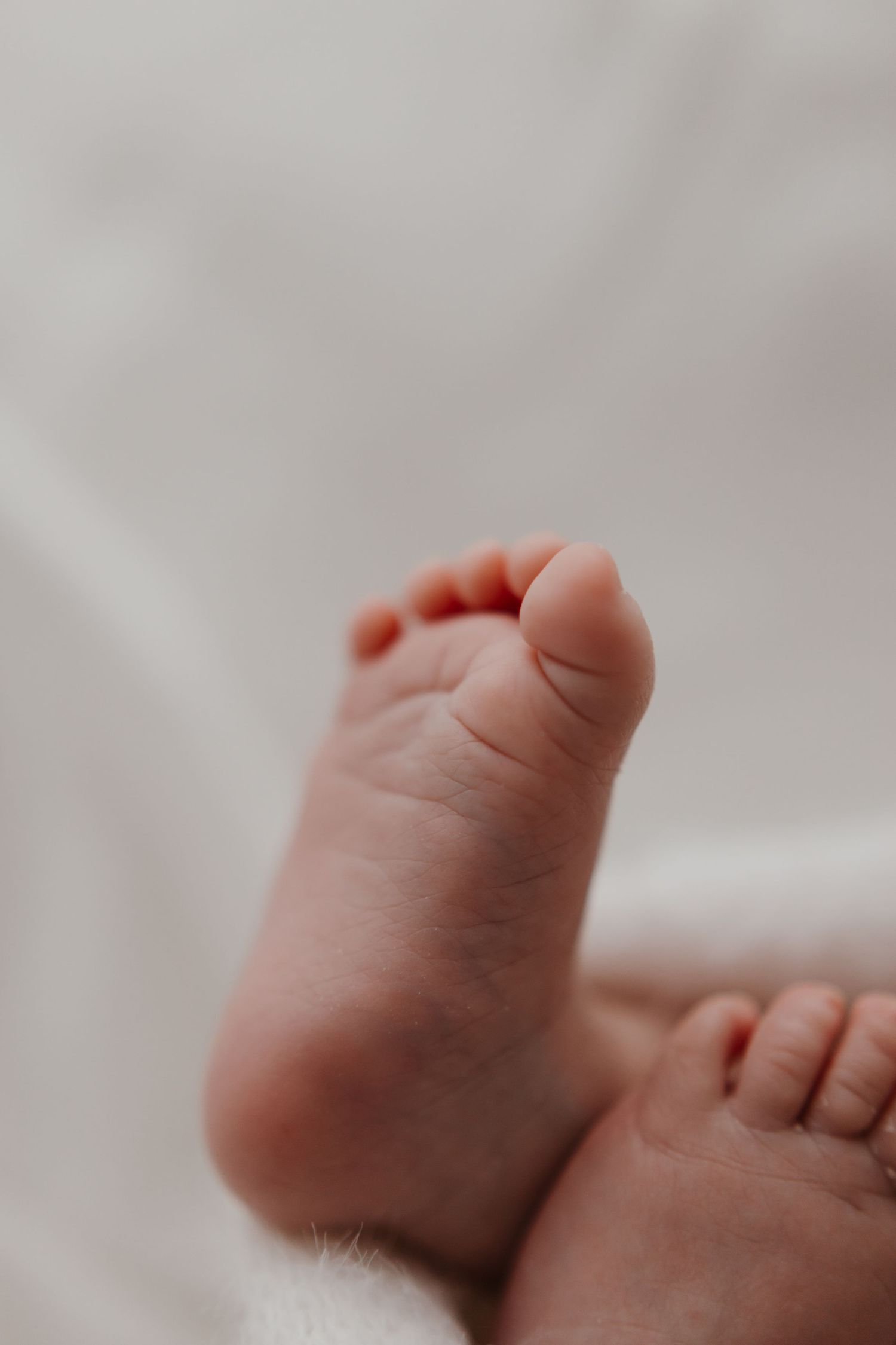 Close-up view of tiny newborn baby feet against white bedding.