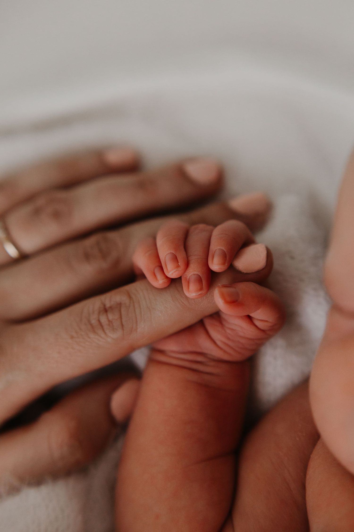 Close-up of gentle hands holding tiny newborn baby feet against white background.