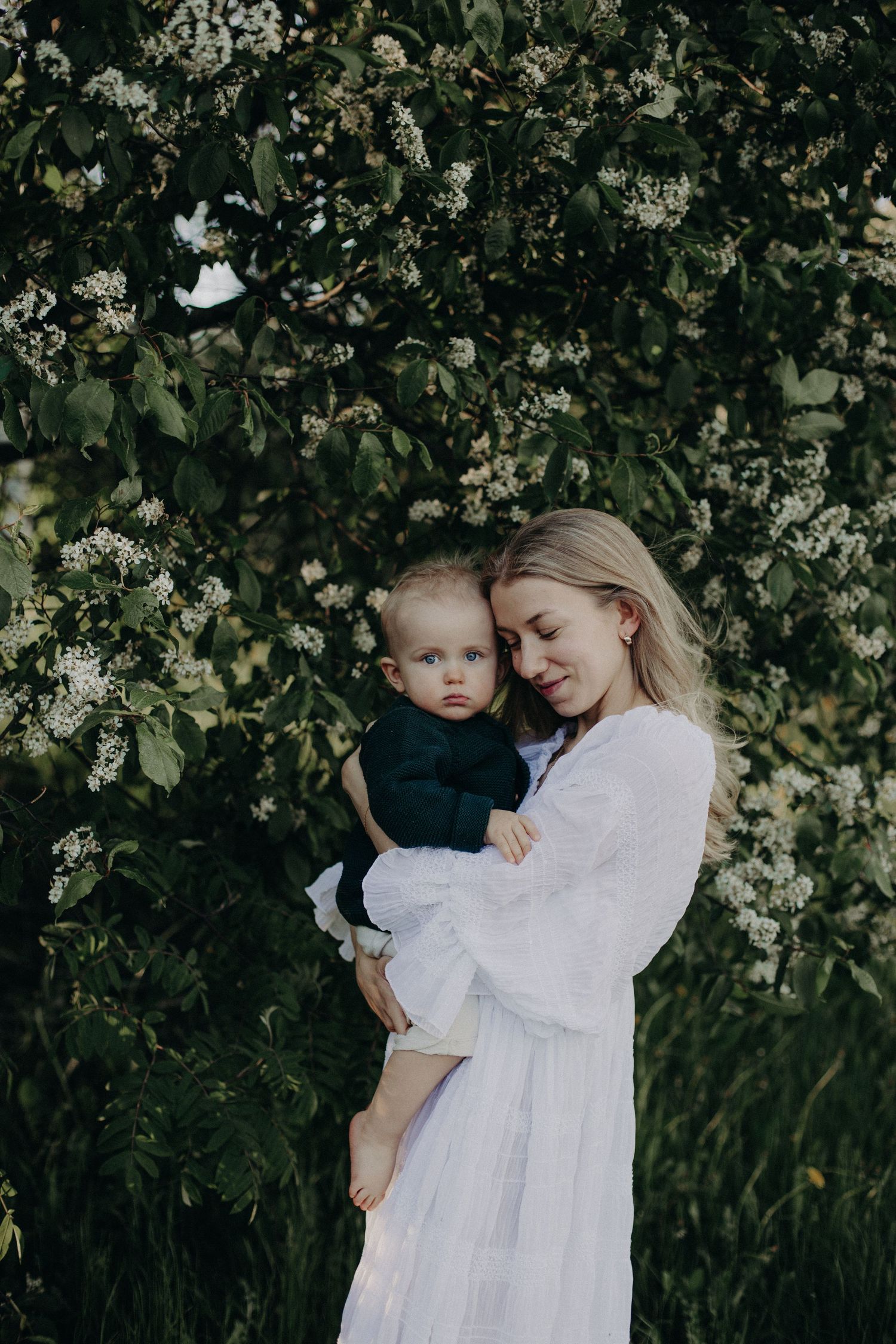 A touching moment captured against a backdrop of white spring blossoms and dark foliage.
