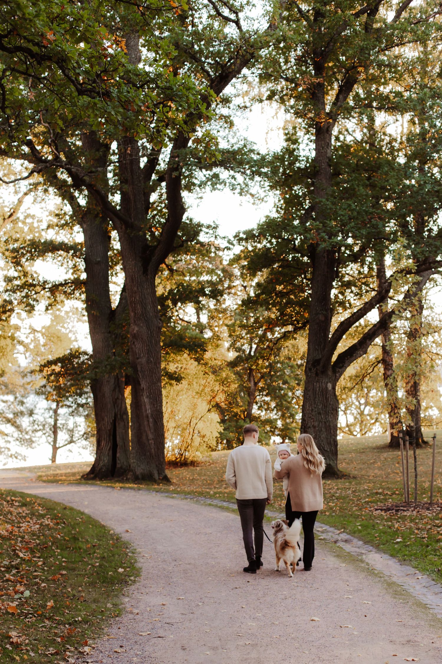 Family walking together on autumn path surrounded by large trees.