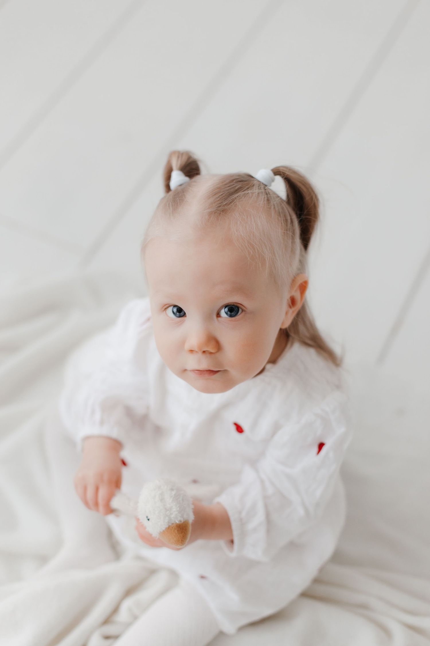 Baby in white dress with pigtails holding small toy on white background.
