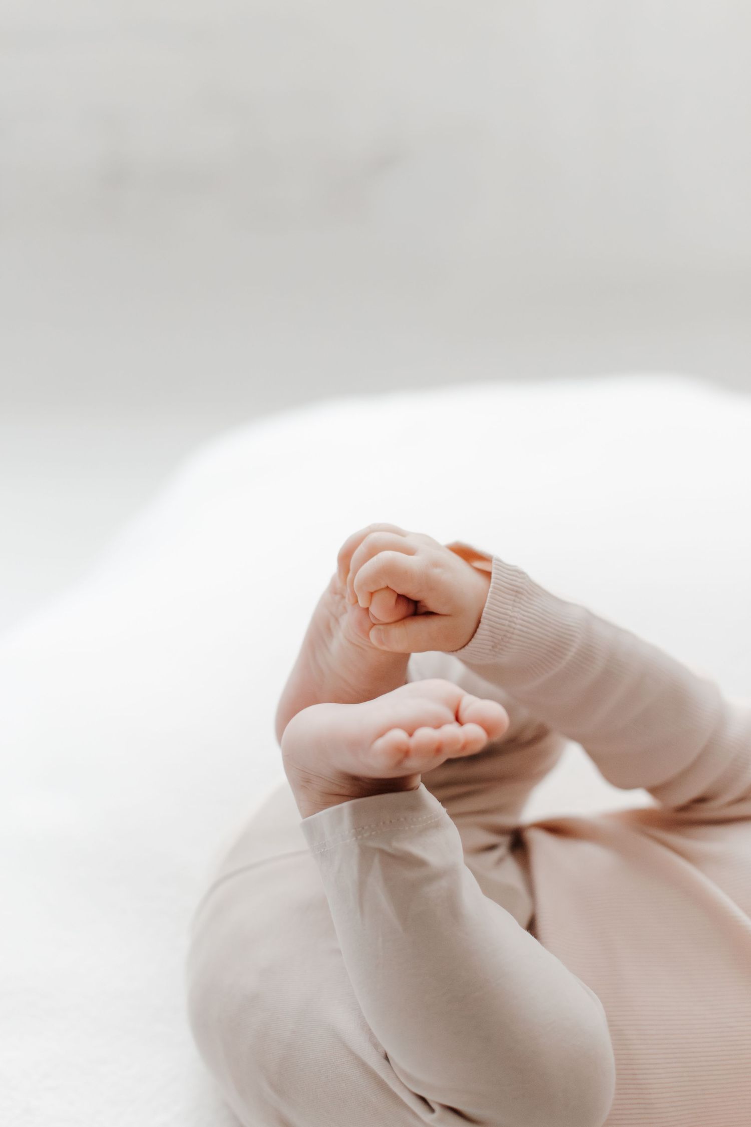 Close-up of tiny infant hands reaching up against white background.