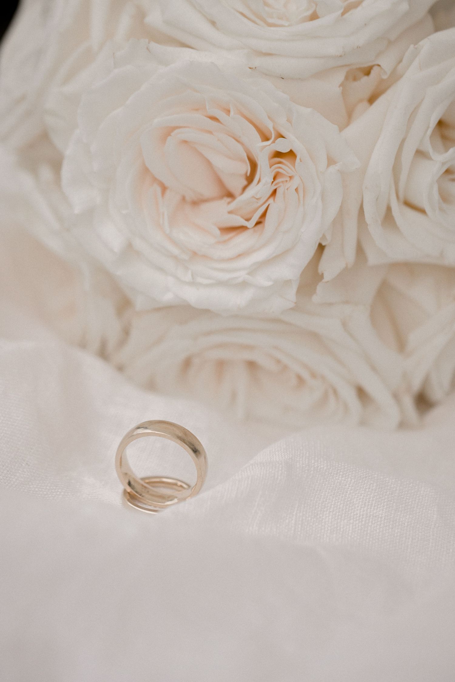 Wedding rings placed elegantly among soft white roses on white fabric.