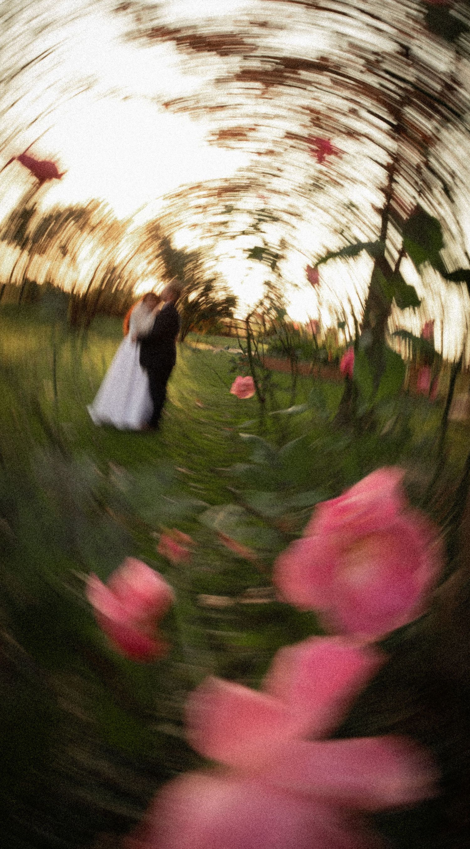 Wedding Photo