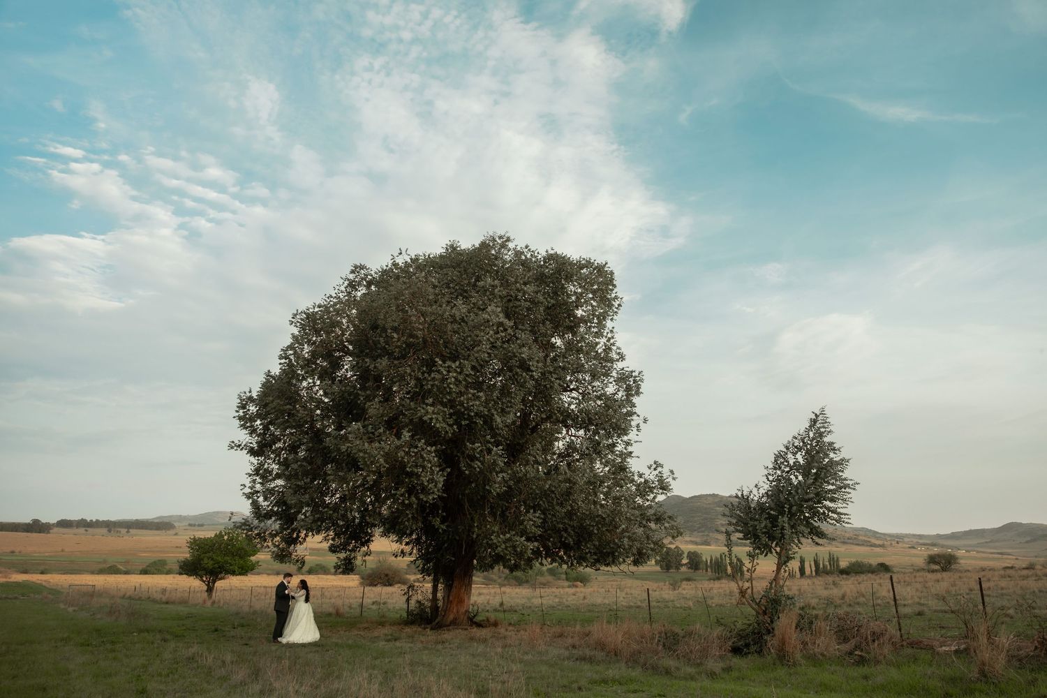 Wedding Photo