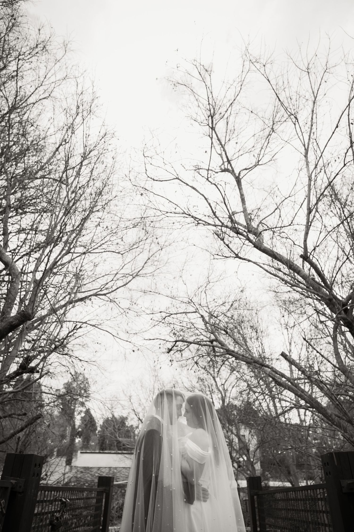 Wedding Photo
