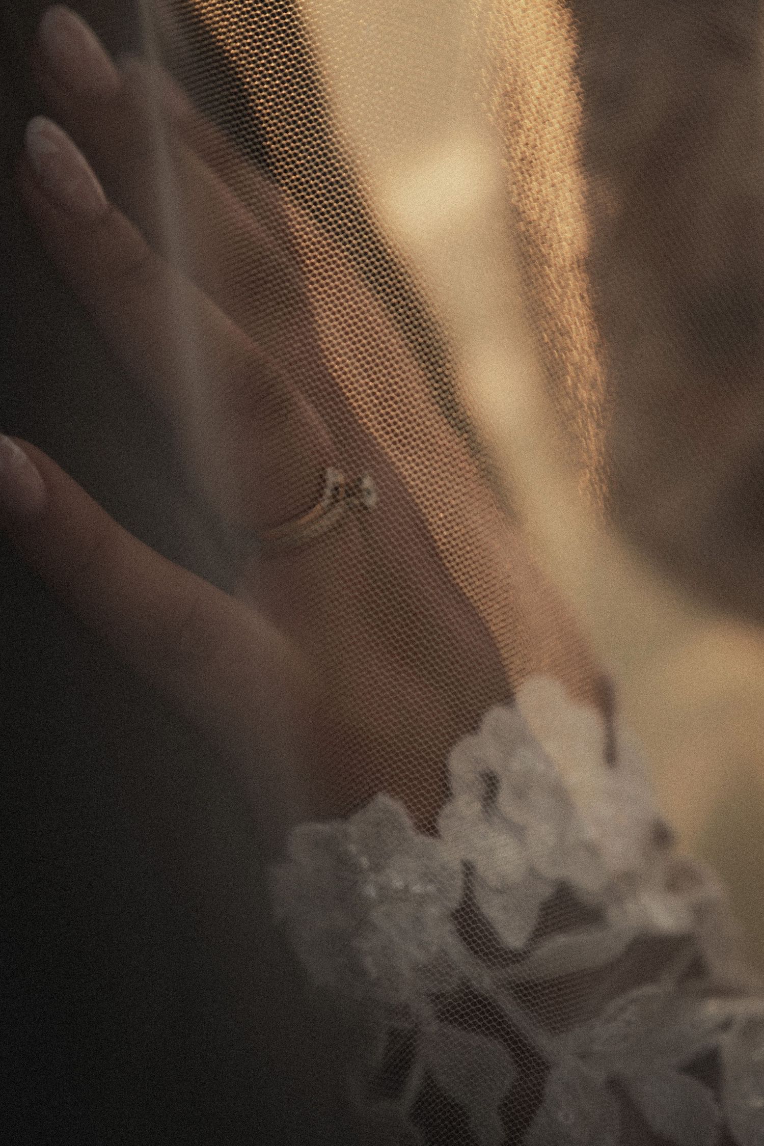 Wedding Photo
