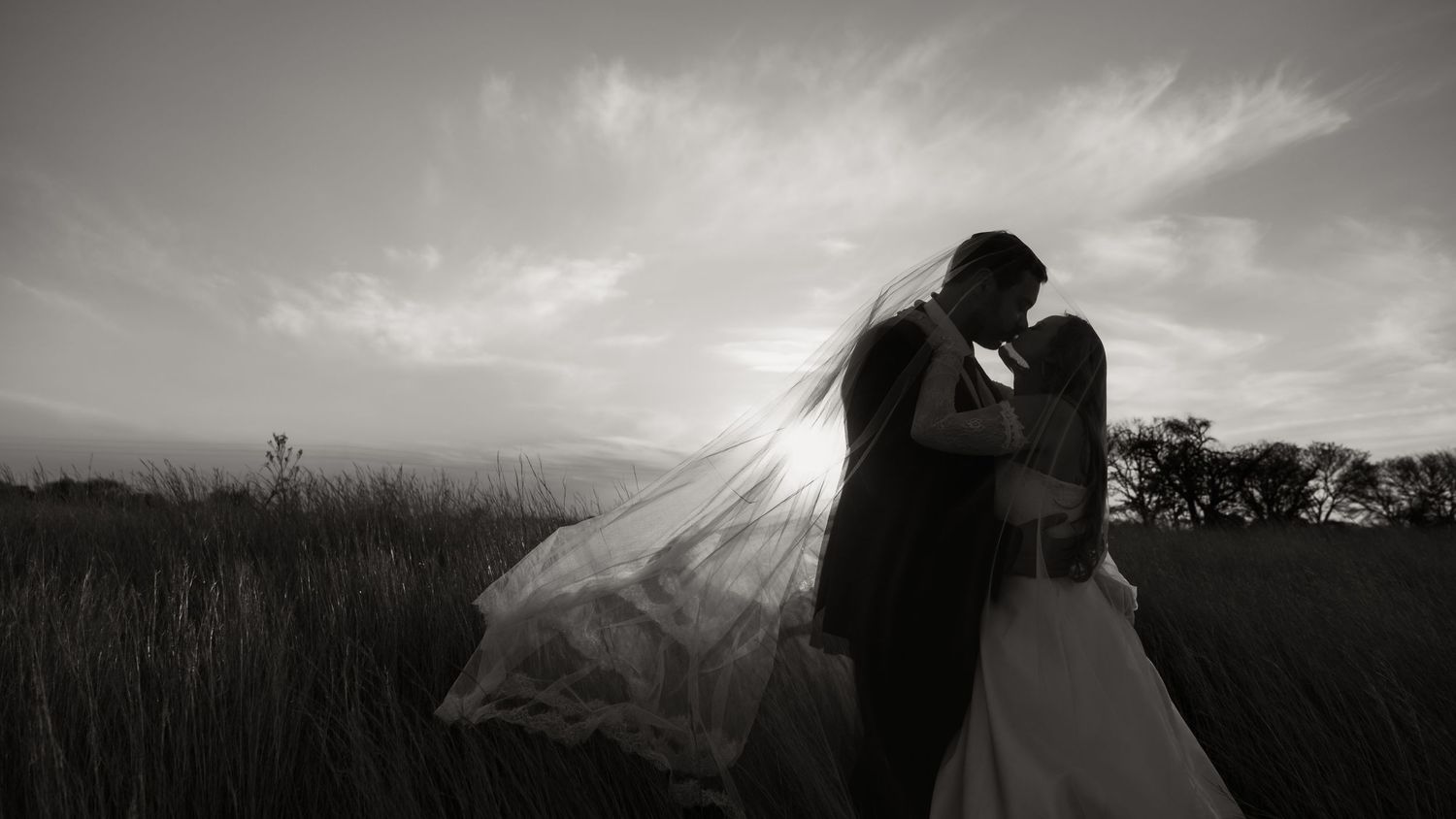 Wedding Photo
