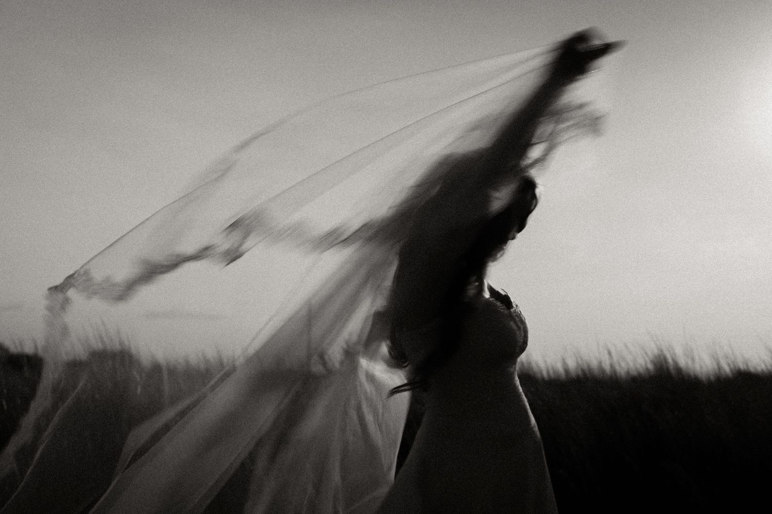 Wedding Photo
