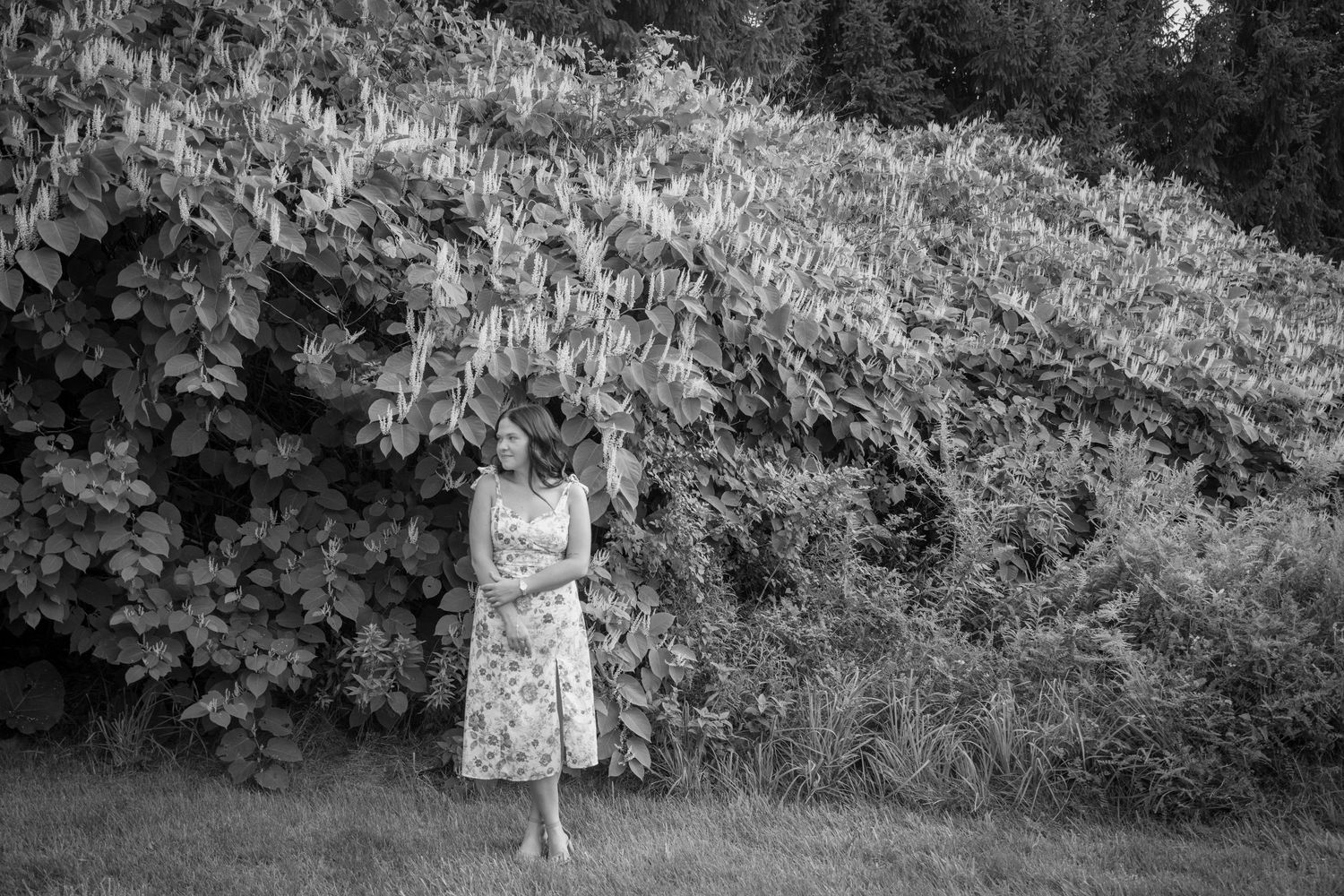 A scenic outdoor photo portrait highlighting a seniors love for nature.