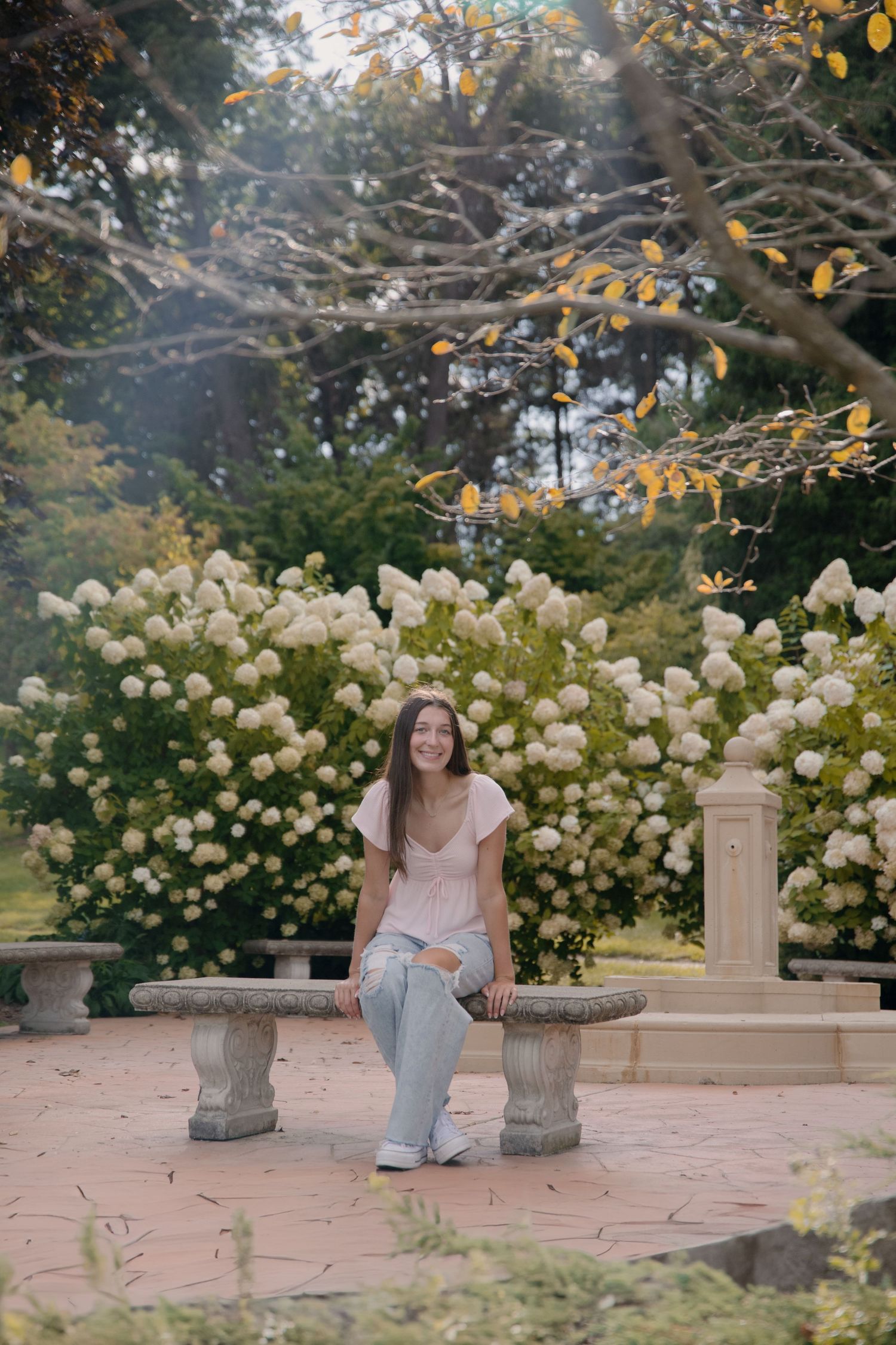 A senior sits on a stone bench surrounded by beautiful white hydrangea bushes in a garden setting.