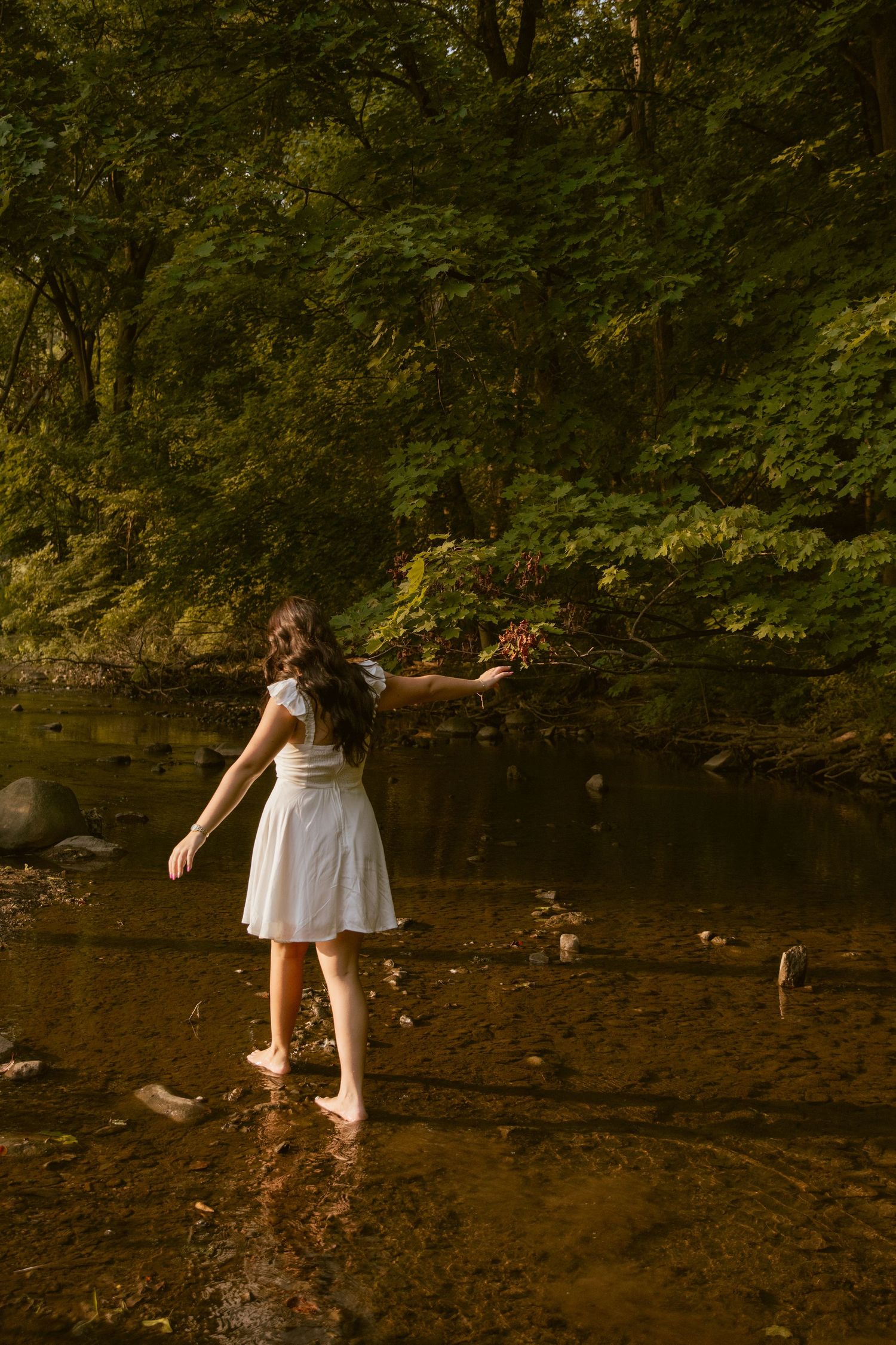 Bare feet splash playfully in a shallow woodland stream during golden hour.