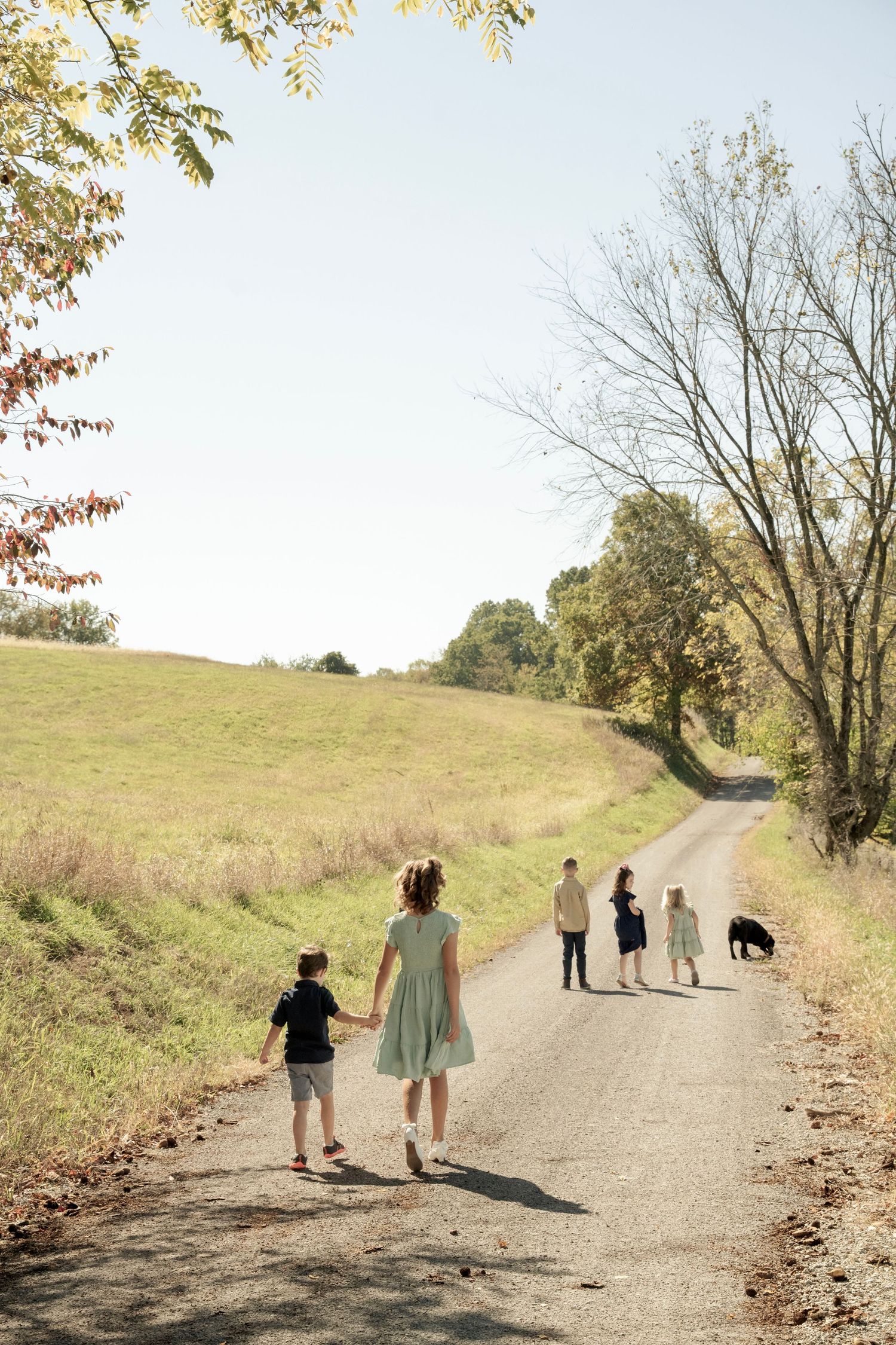 Multiple children walking along country road with dog against pastoral landscape.