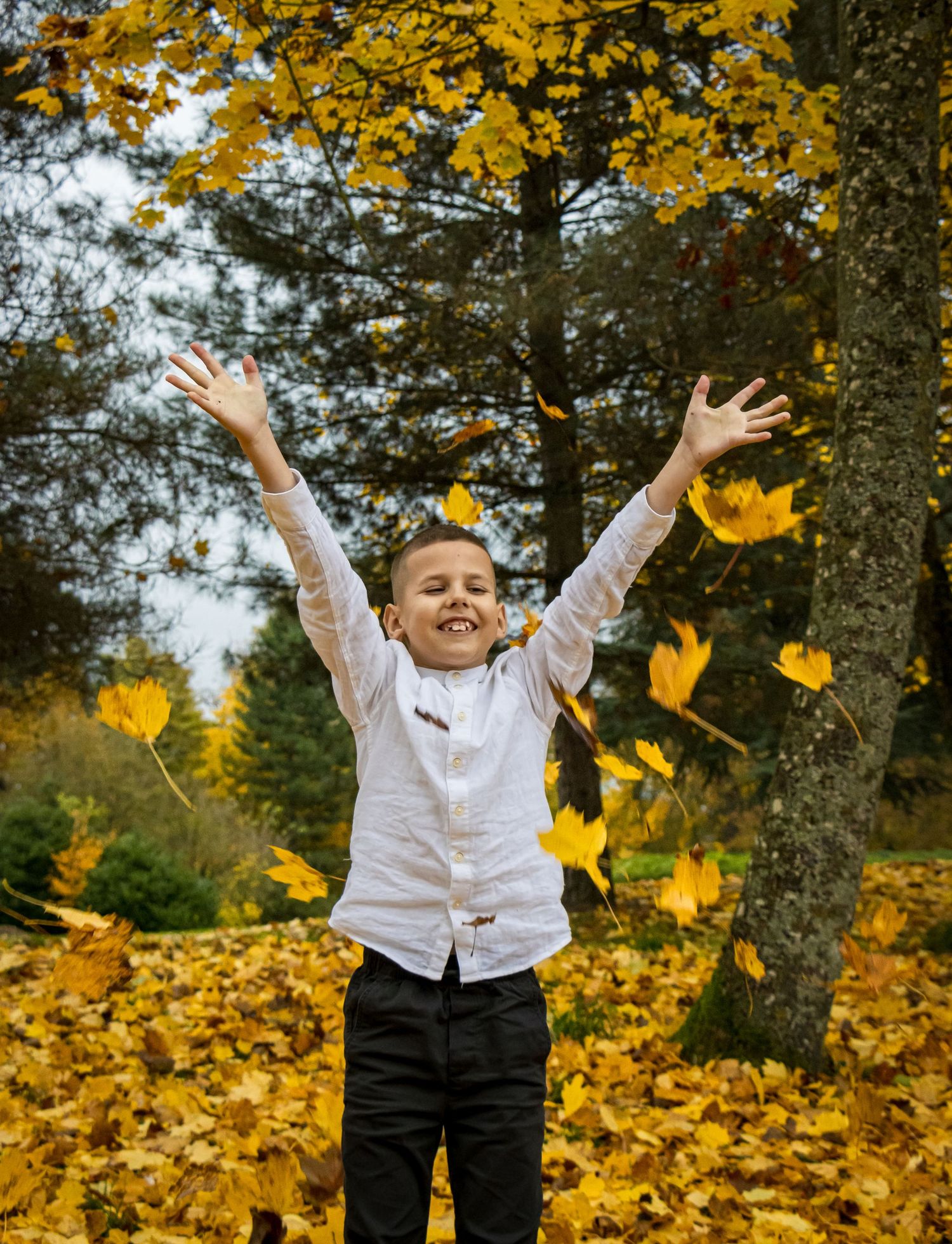 Photo en lumière naturelle d'un enfant sur Nancy et ses alentours en automne