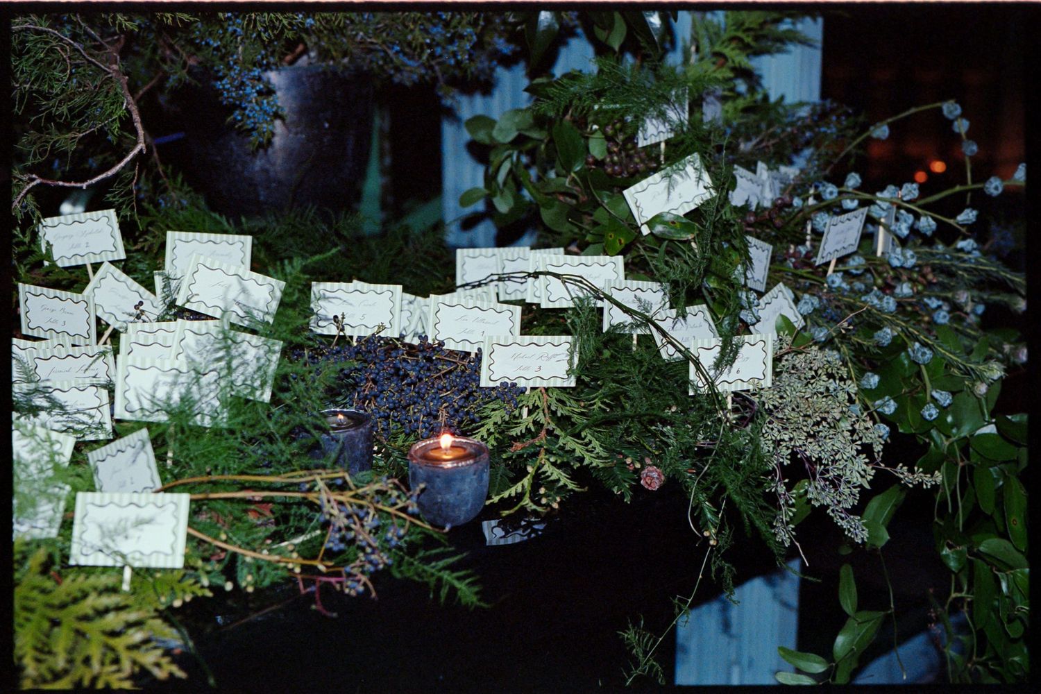 Garden pathway decorated with small white cards and greenery for an outdoor event.