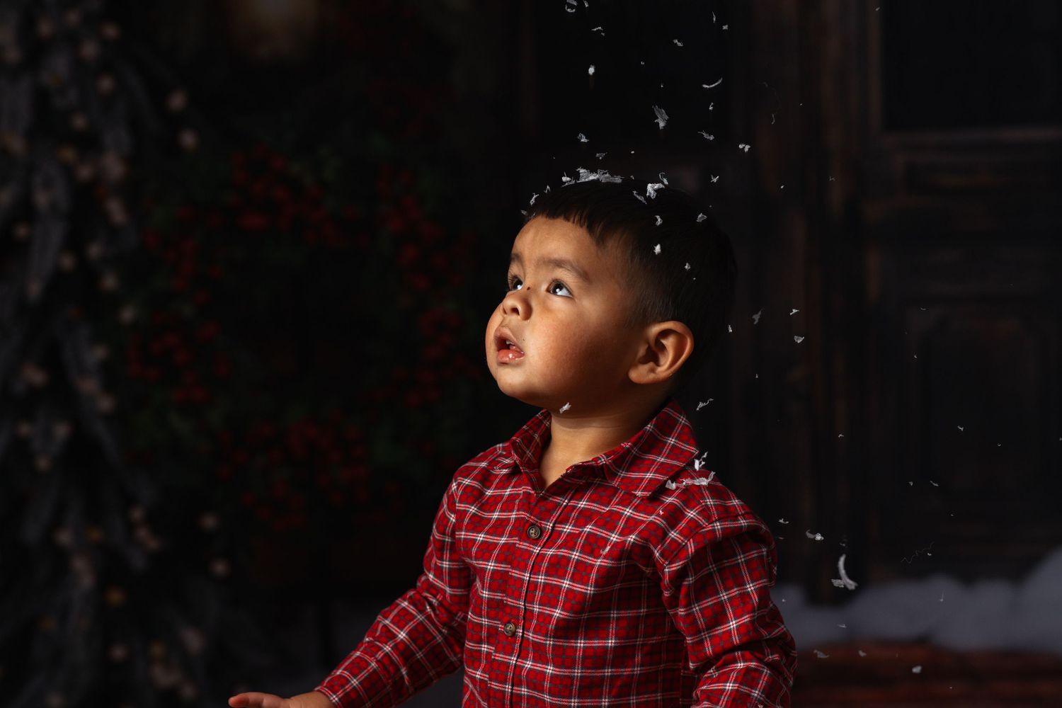 Christmas mini session in studio portrait