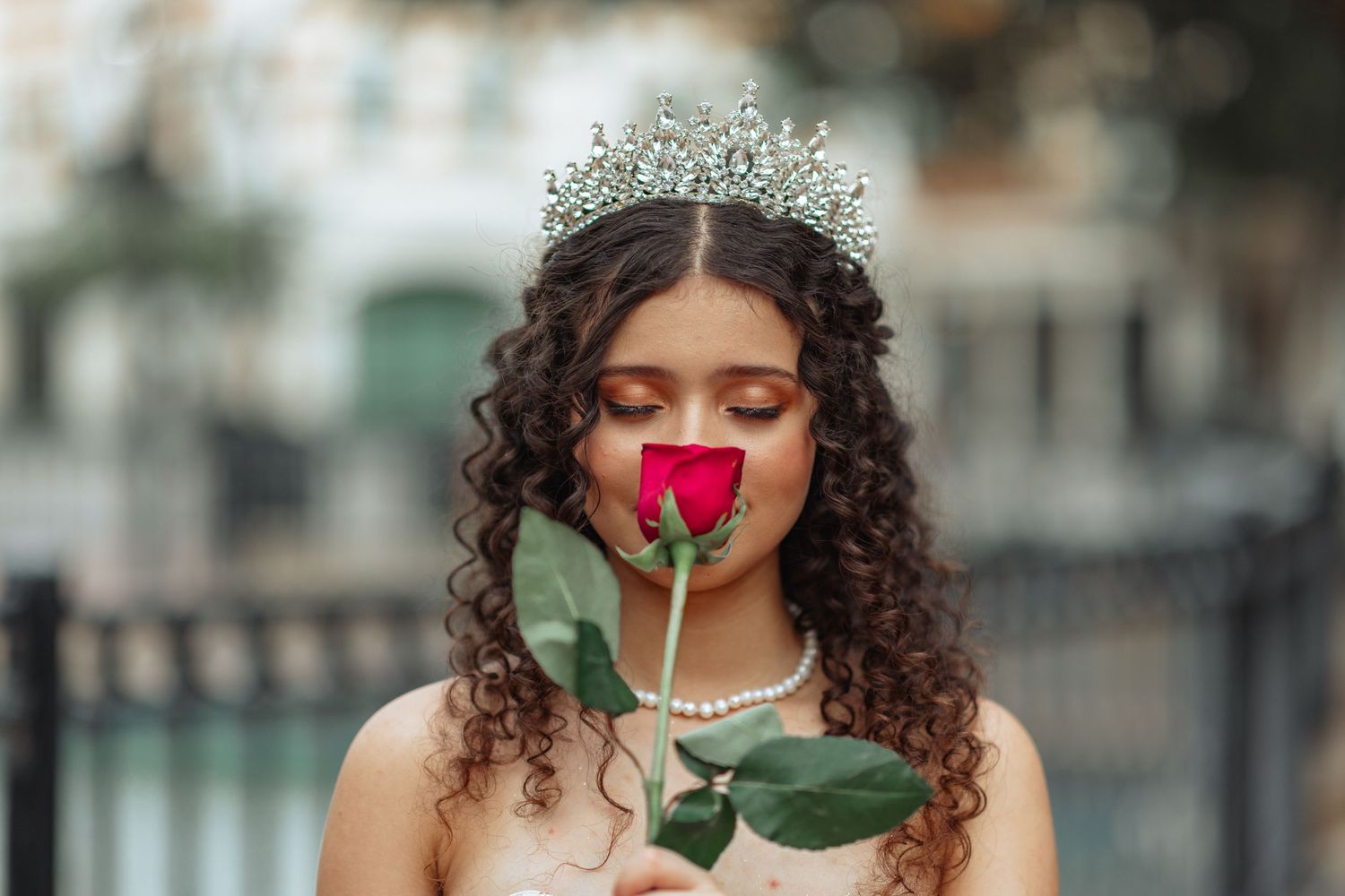 A sequence of romantic photos with a red rose and sparkly crown.